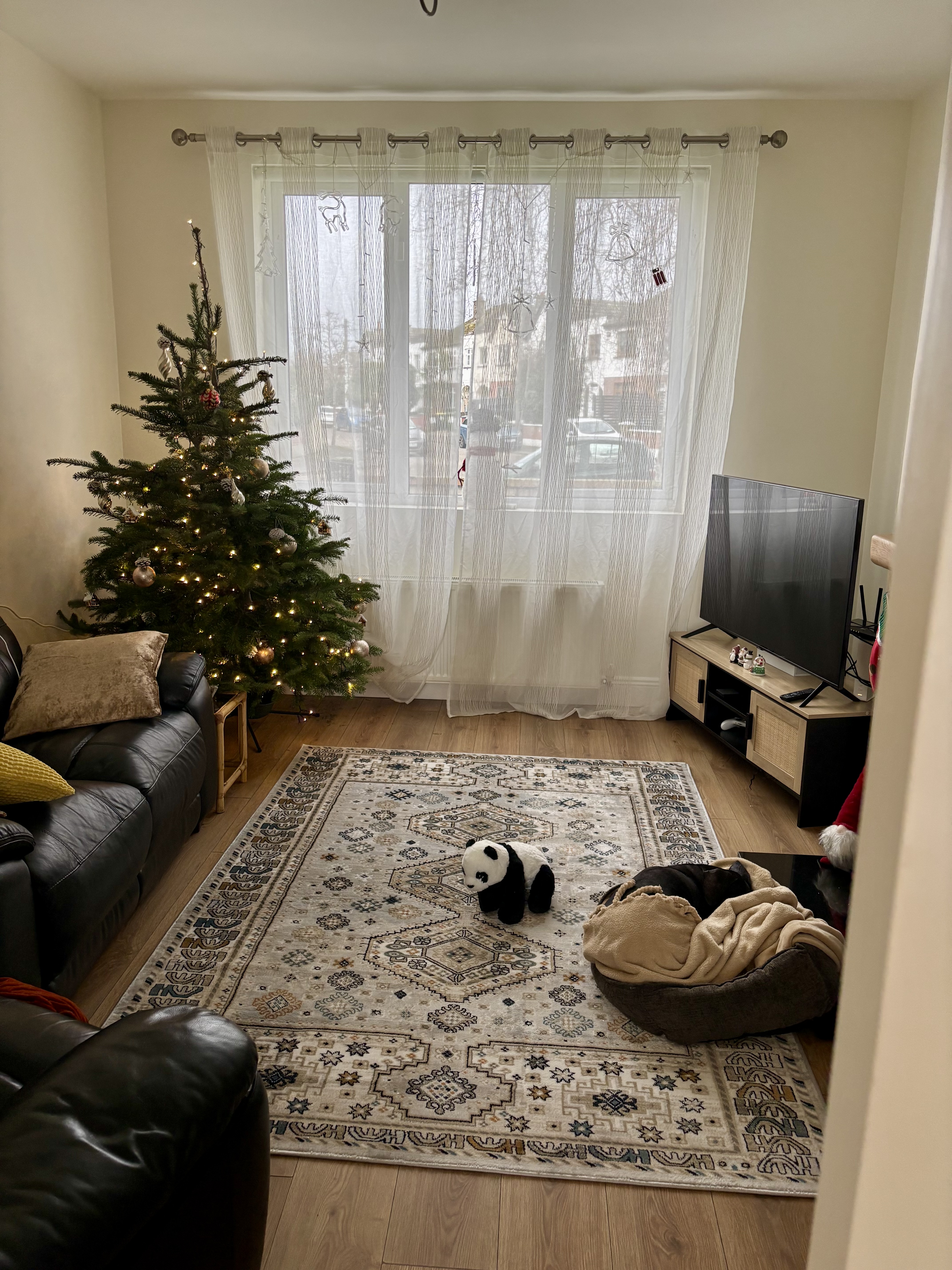 image-17