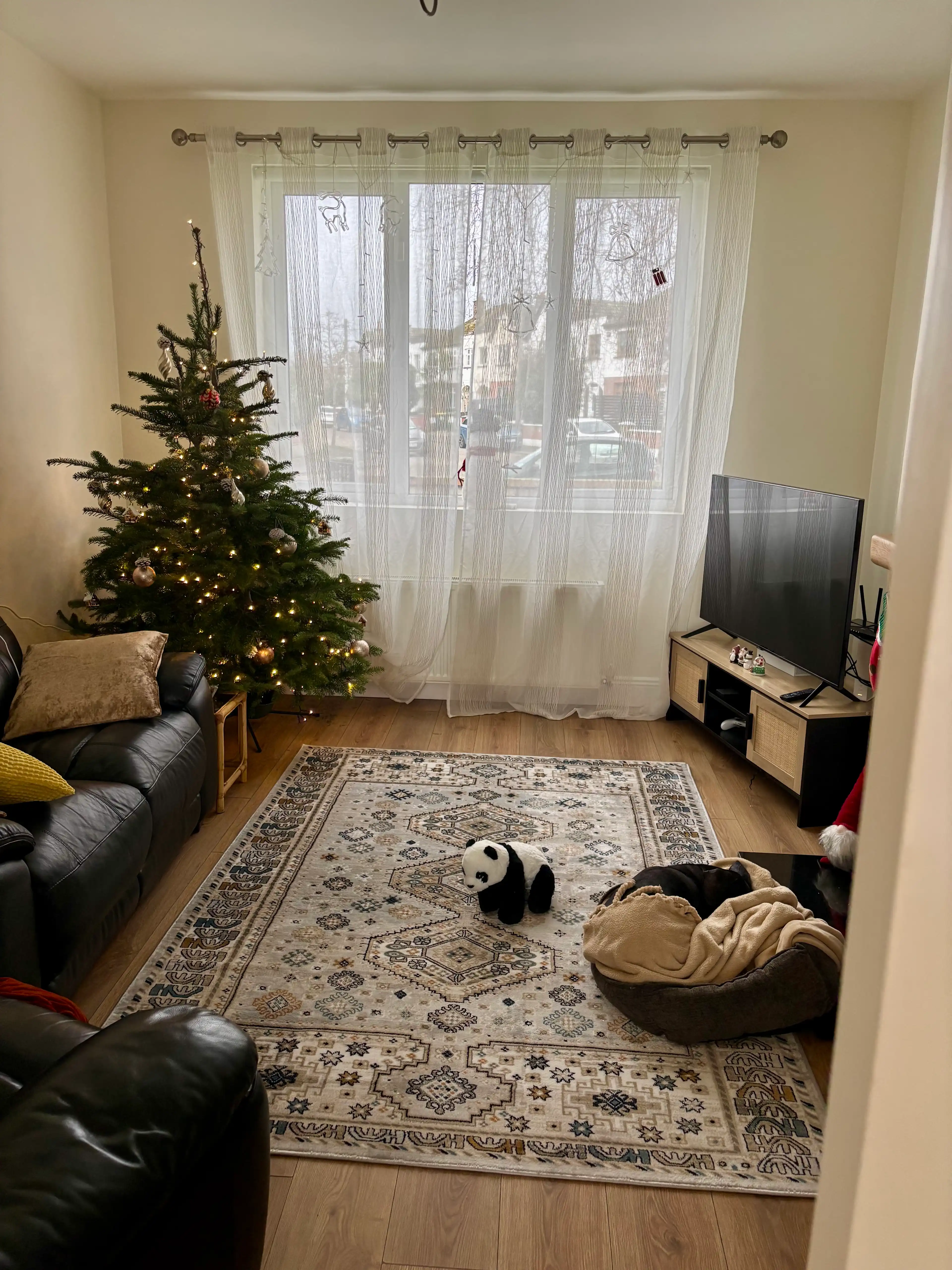 image-17