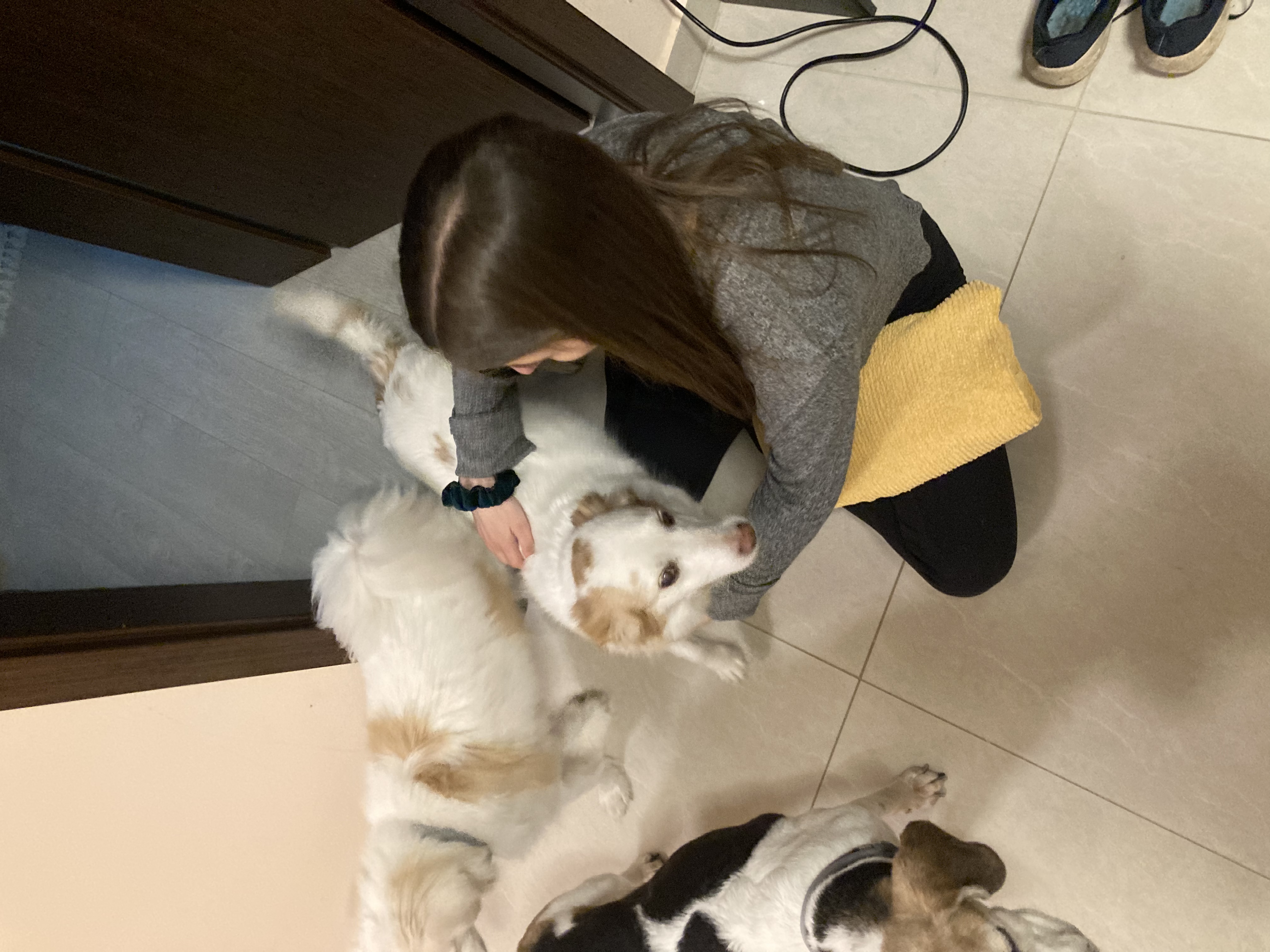 image-6
