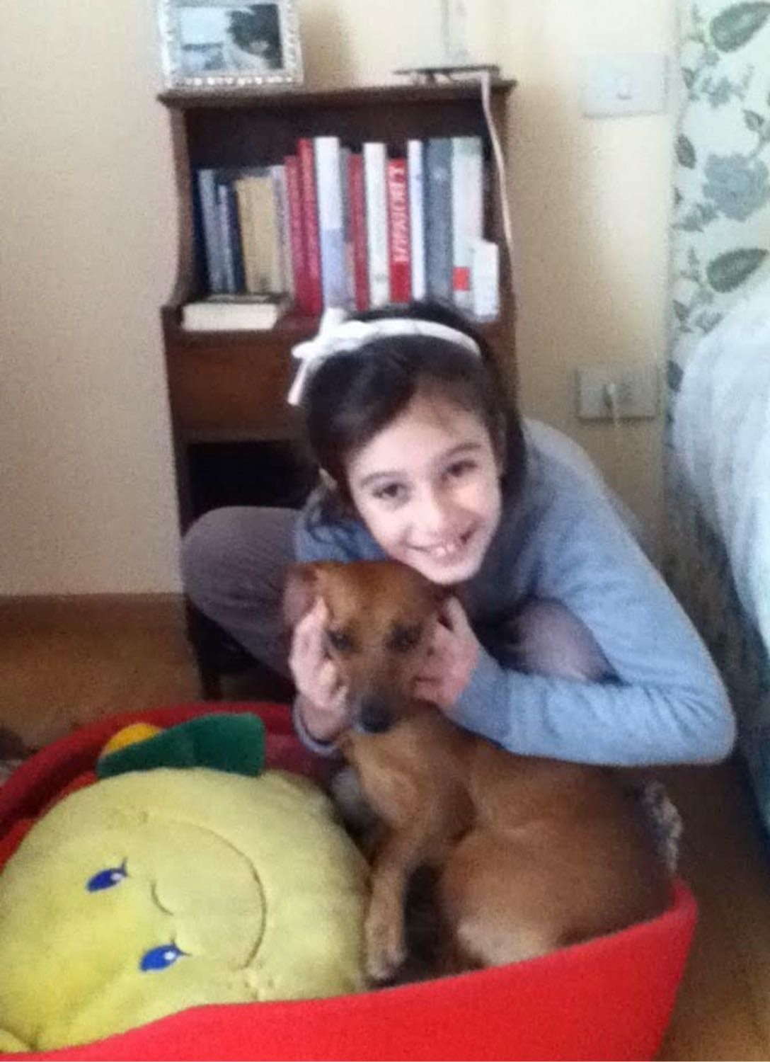 image-6