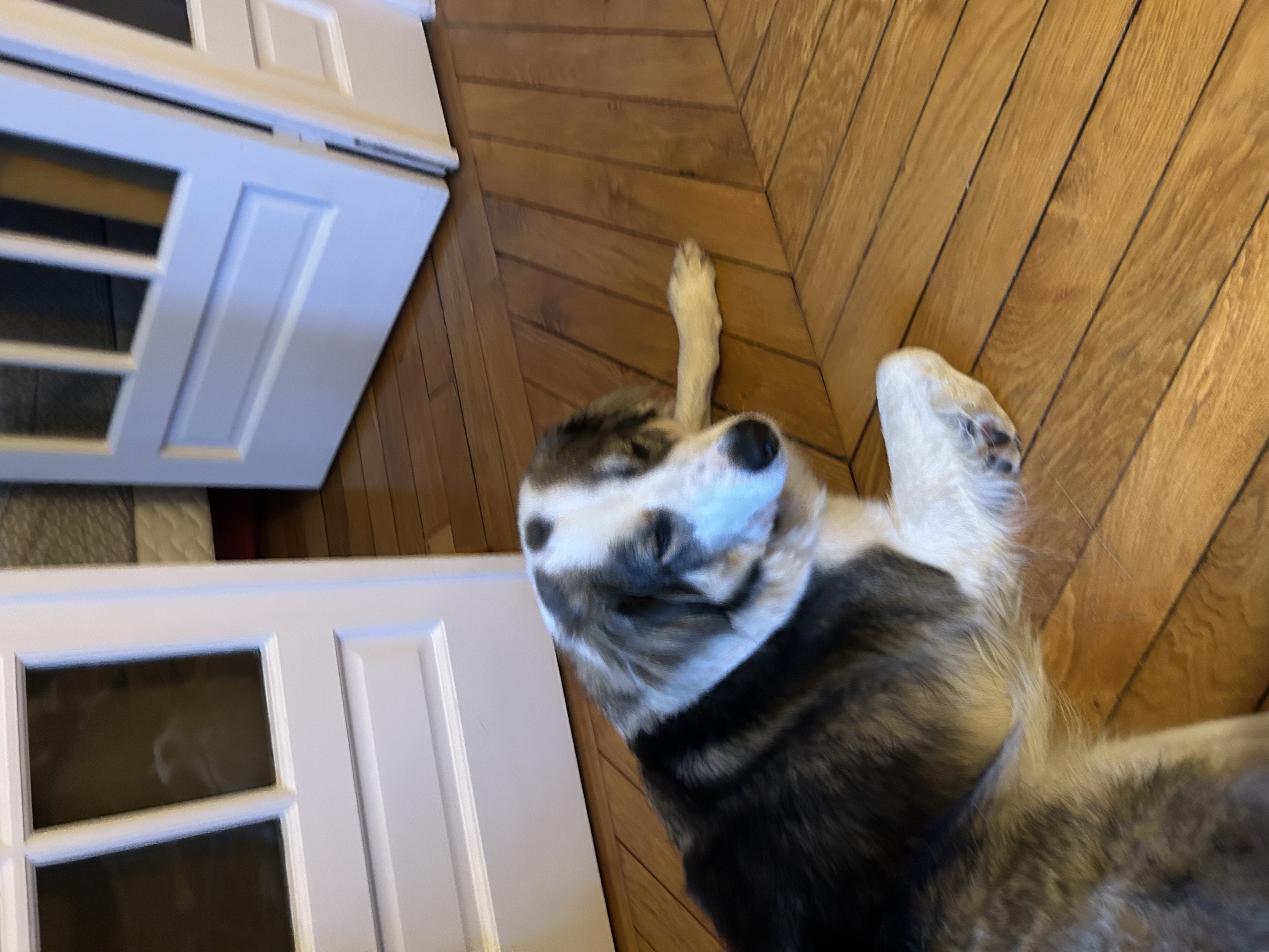 image-16