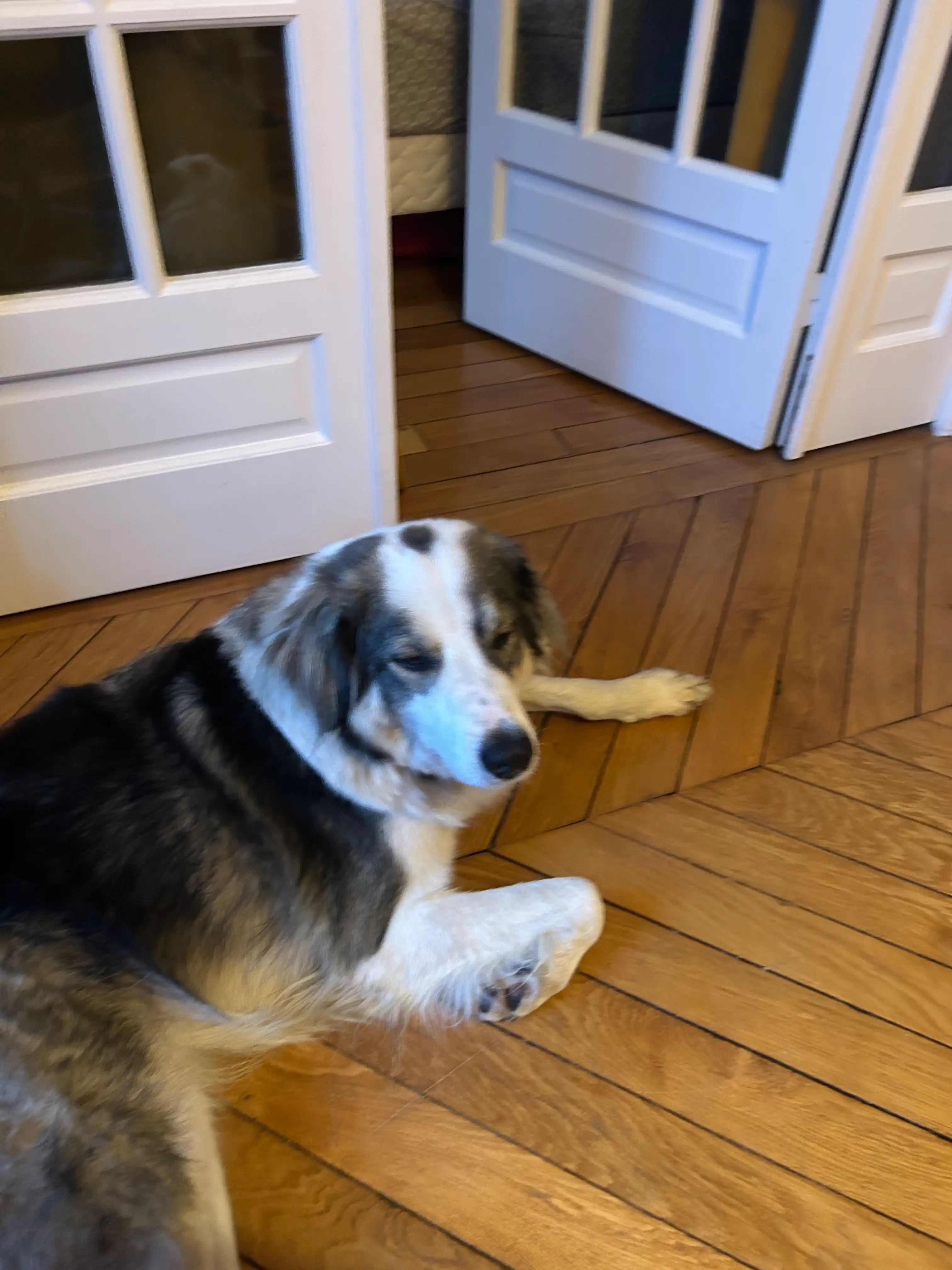 image-16