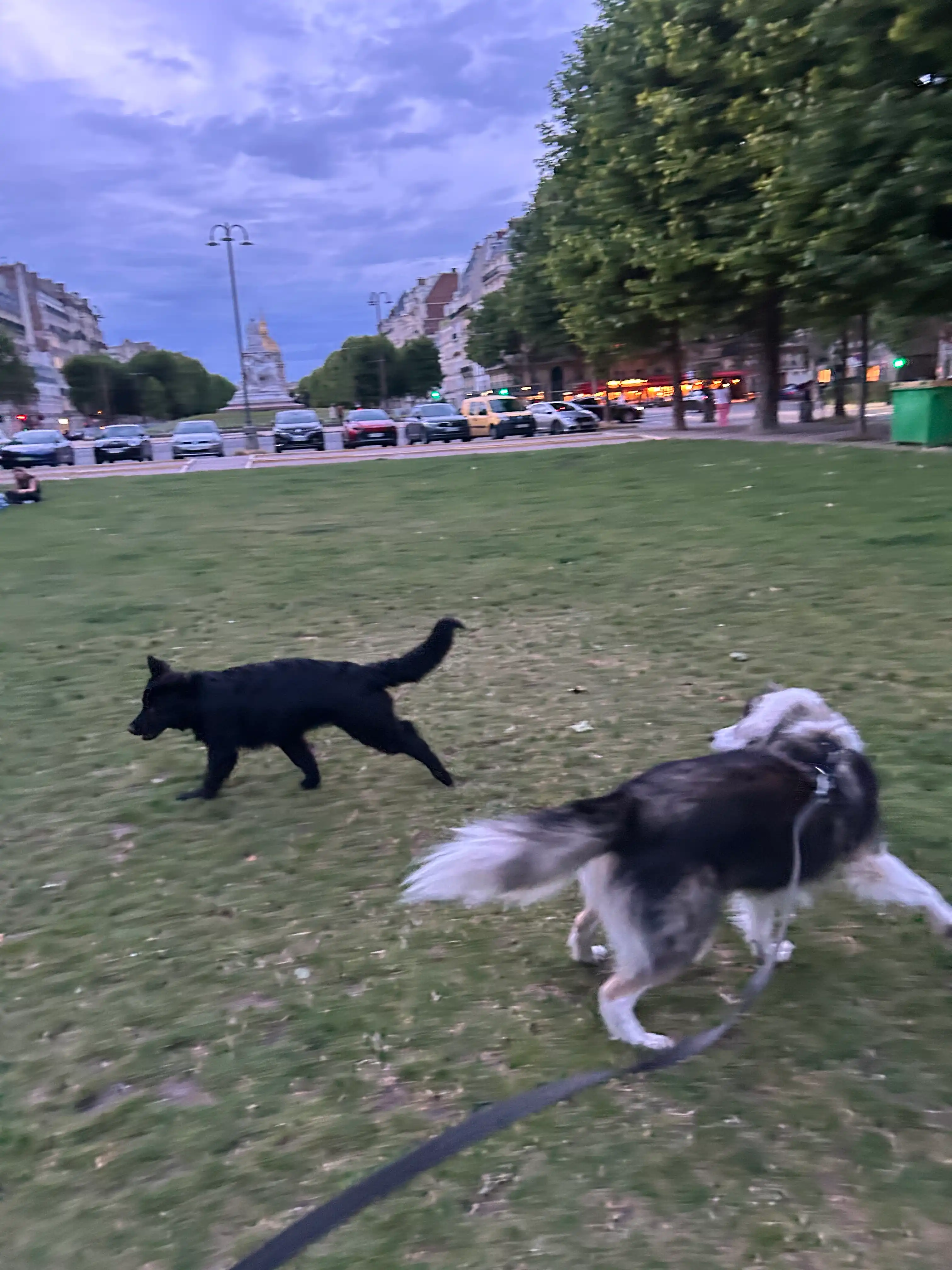 image-14