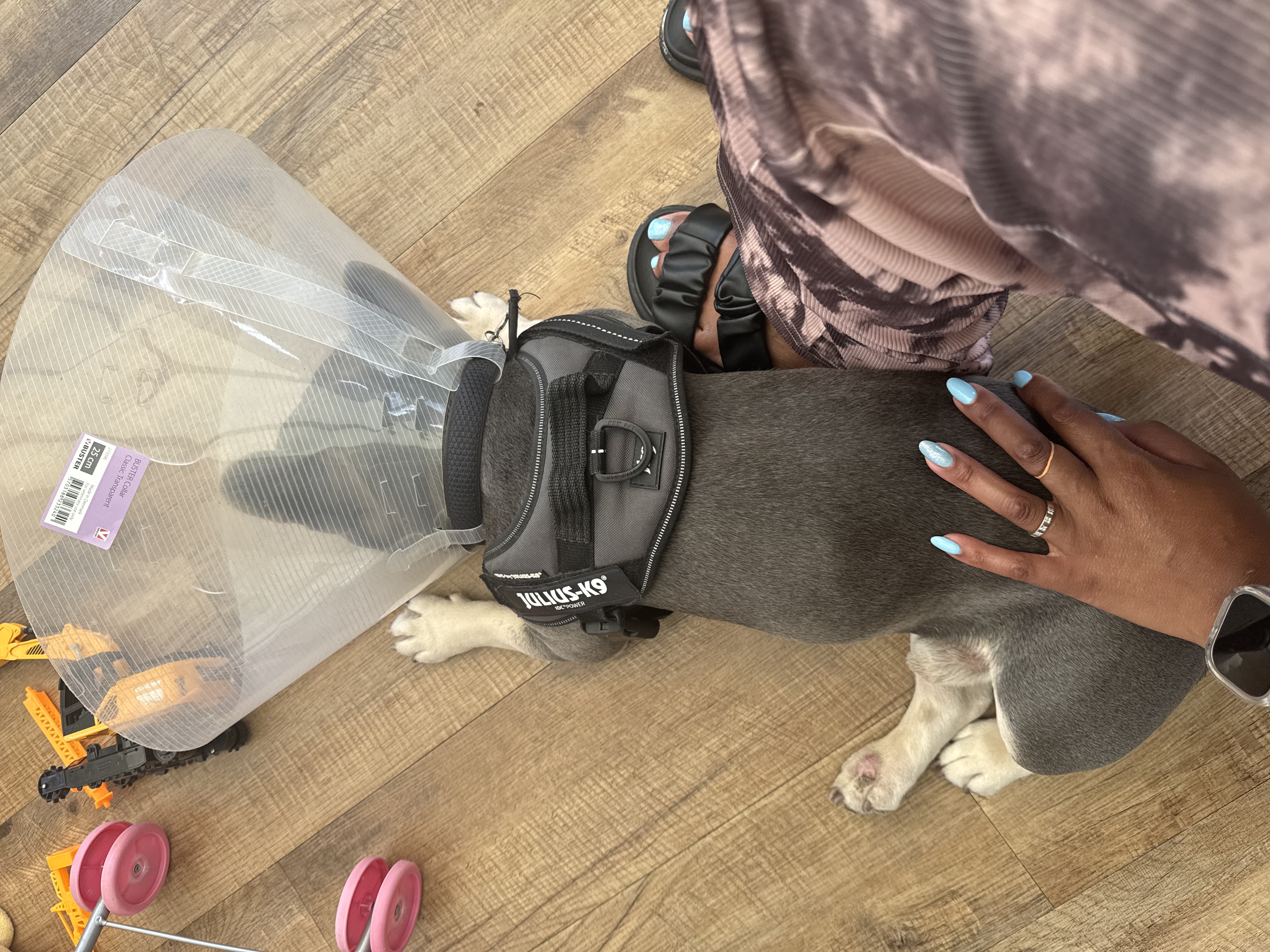 image-10