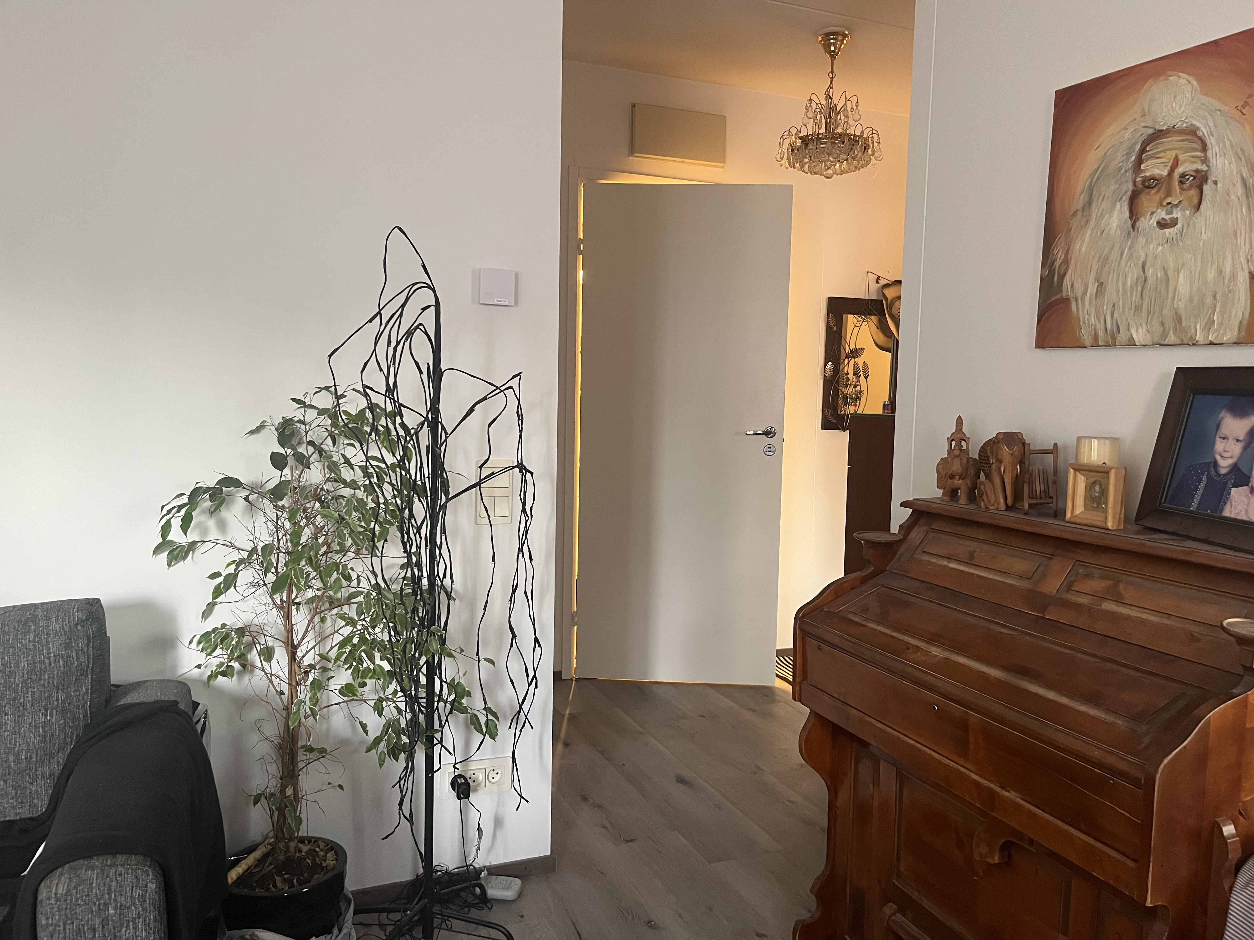 image-14