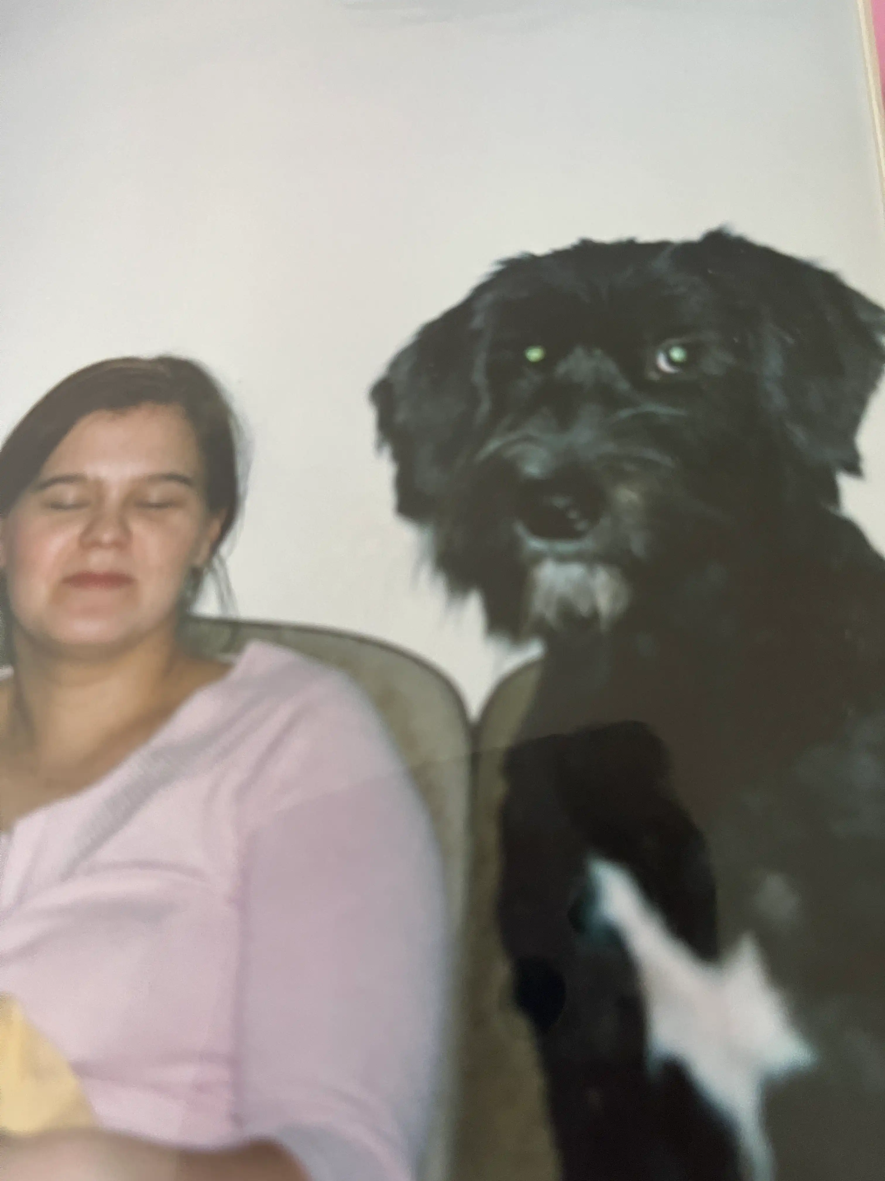 image-8
