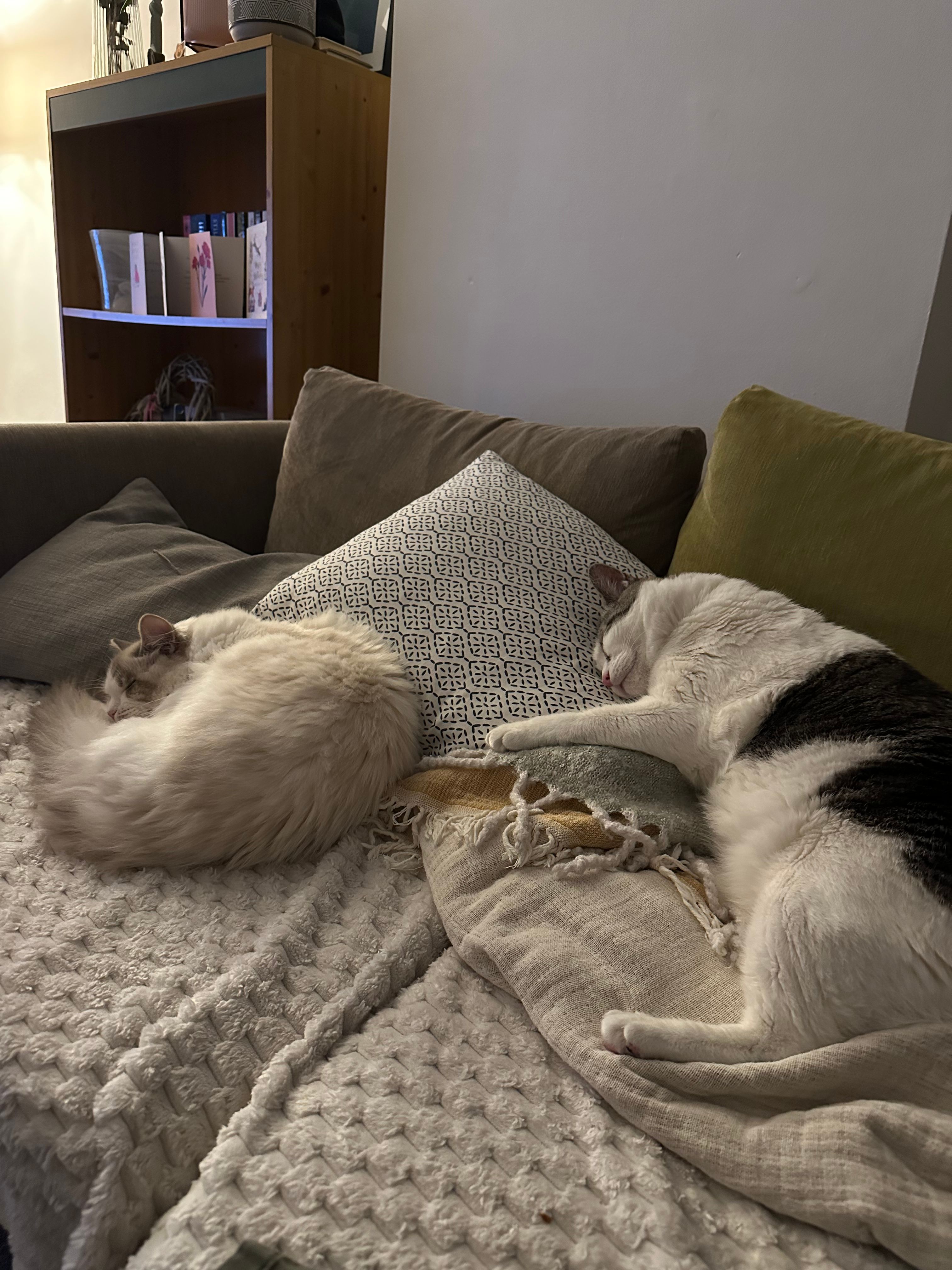image-18