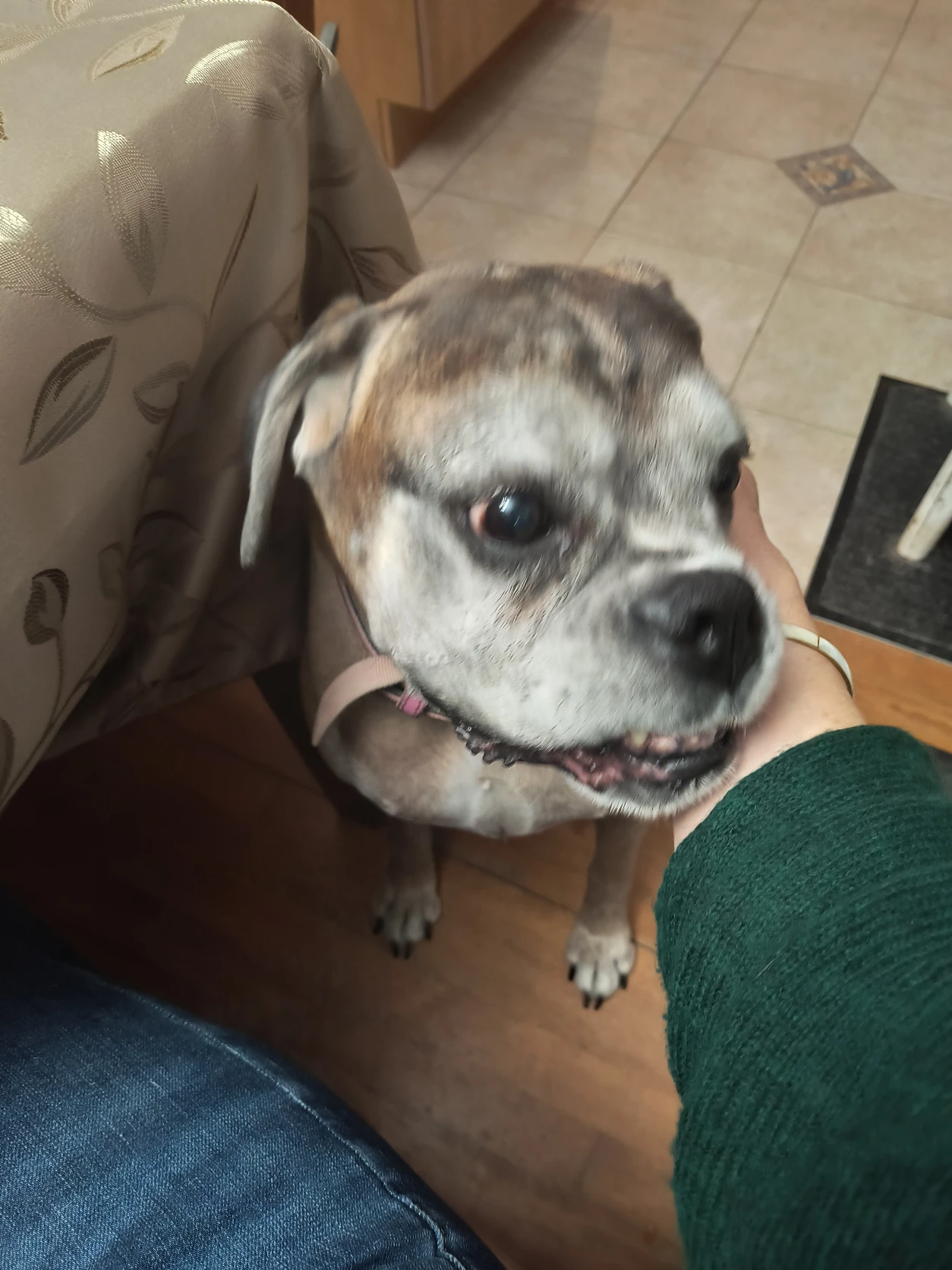 image-6