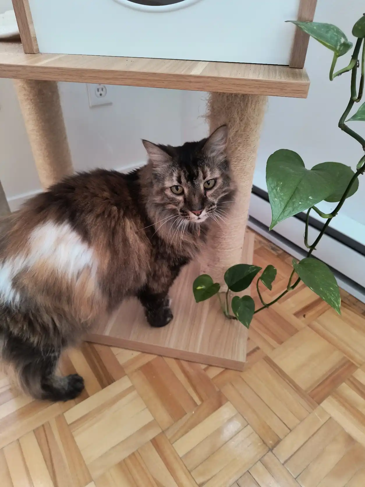 image-9
