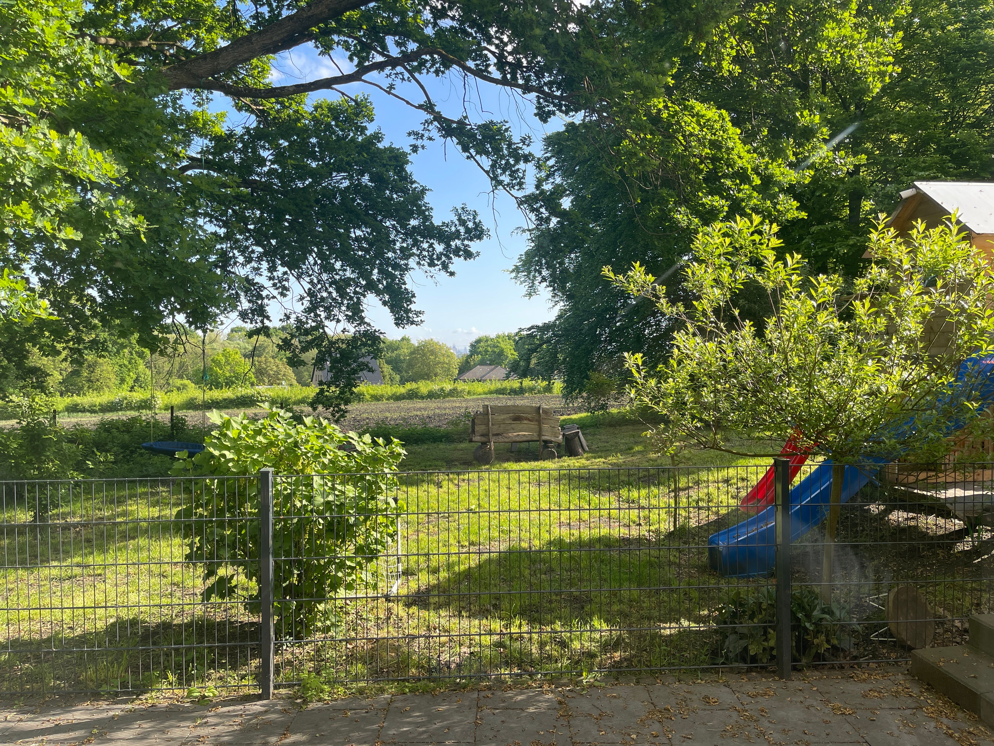 image-14