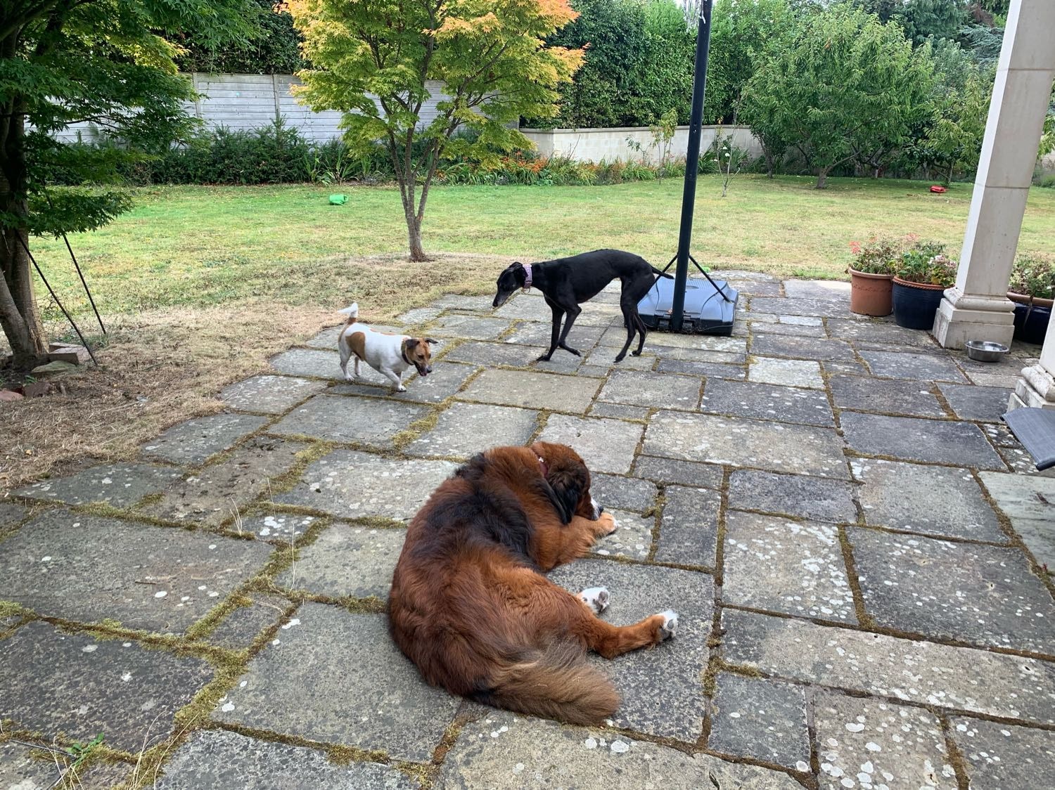 image-29