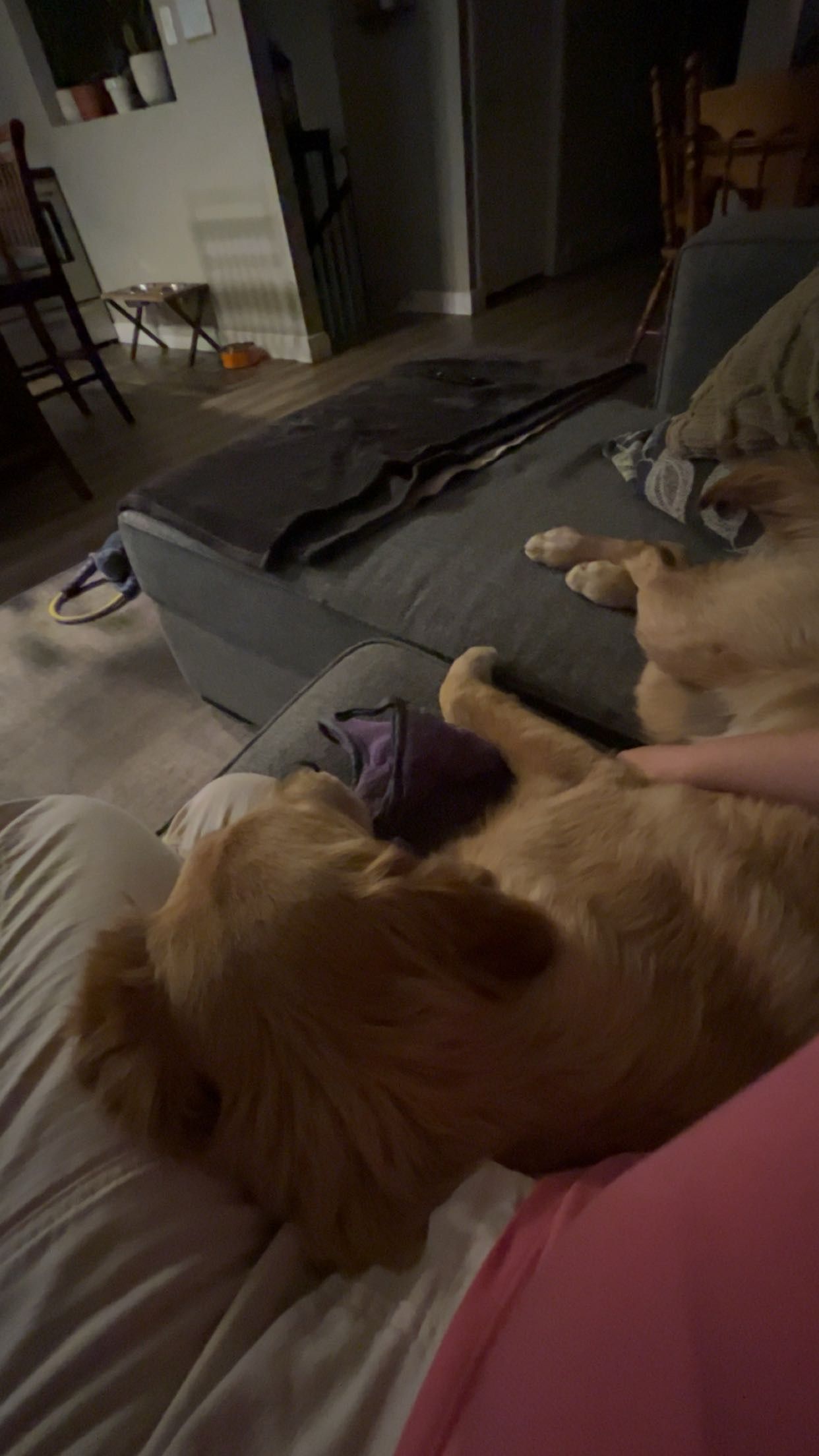 image-9
