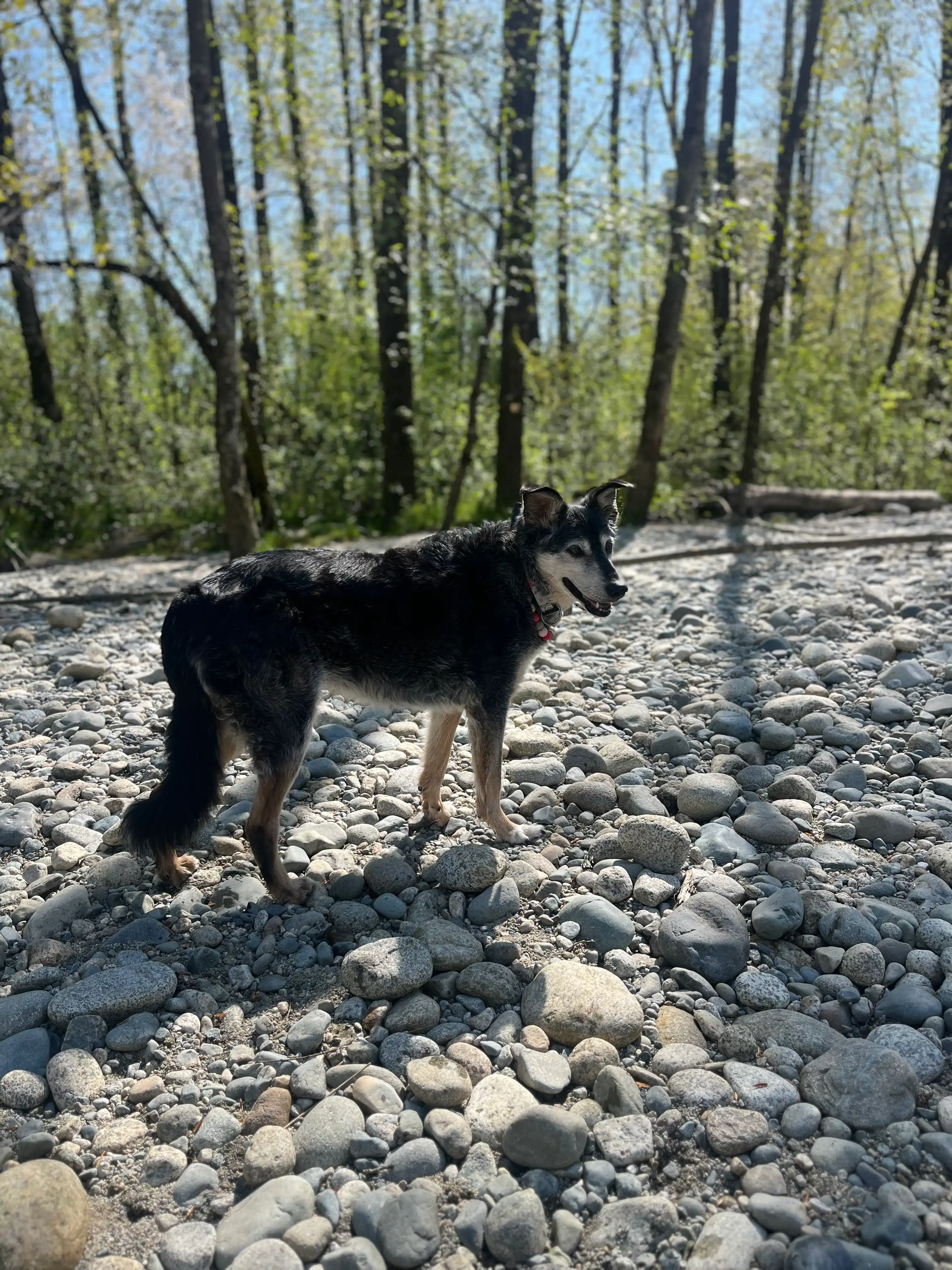 image-10