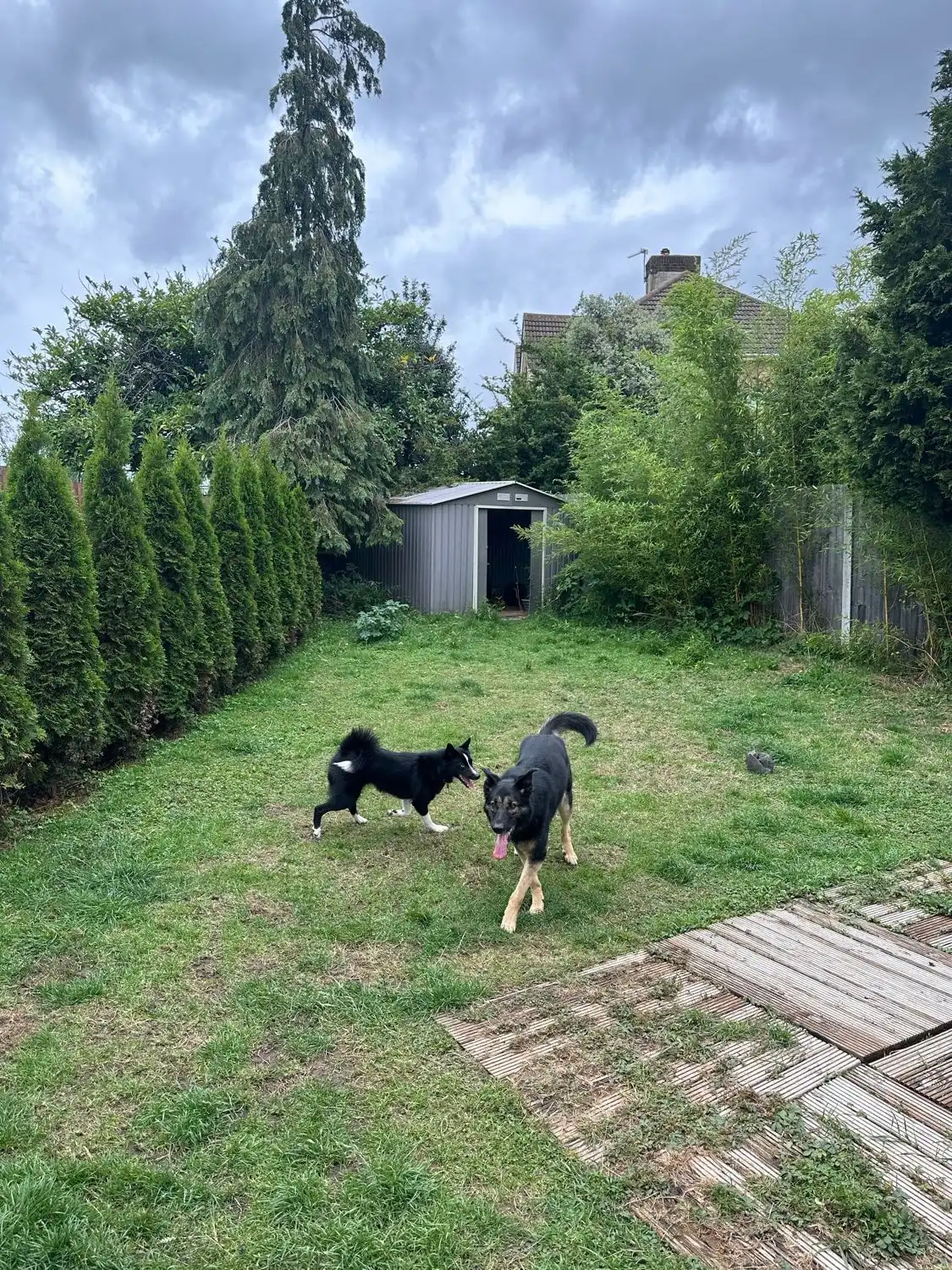 image-10