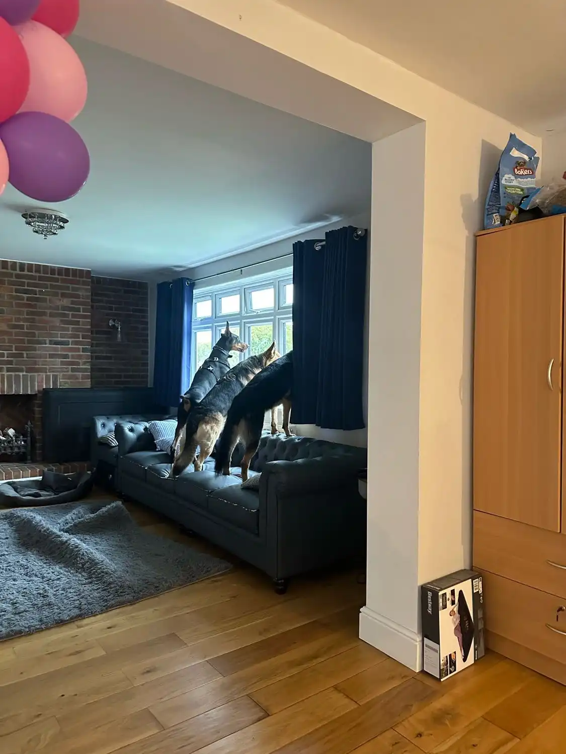 image-9