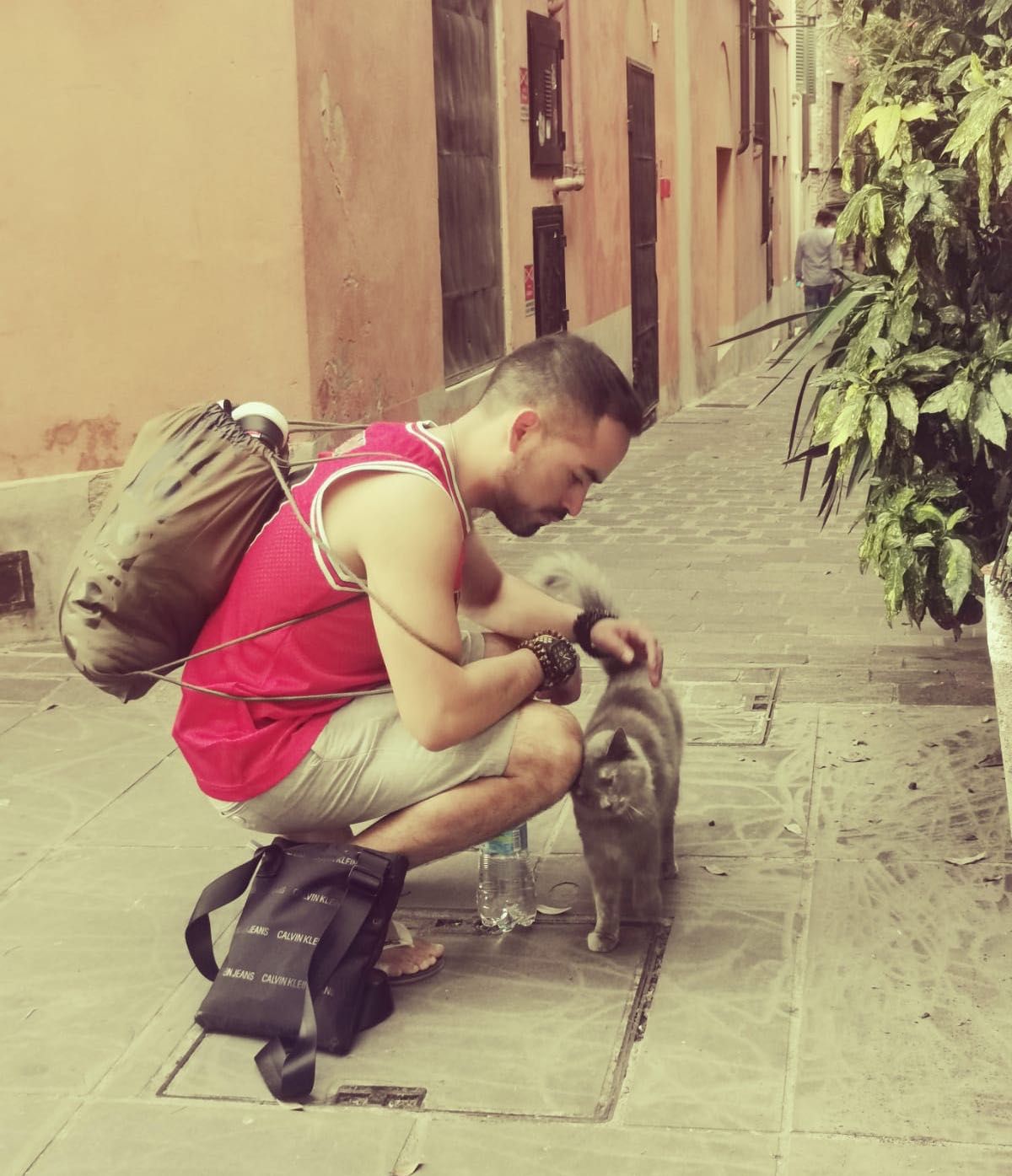 image-20