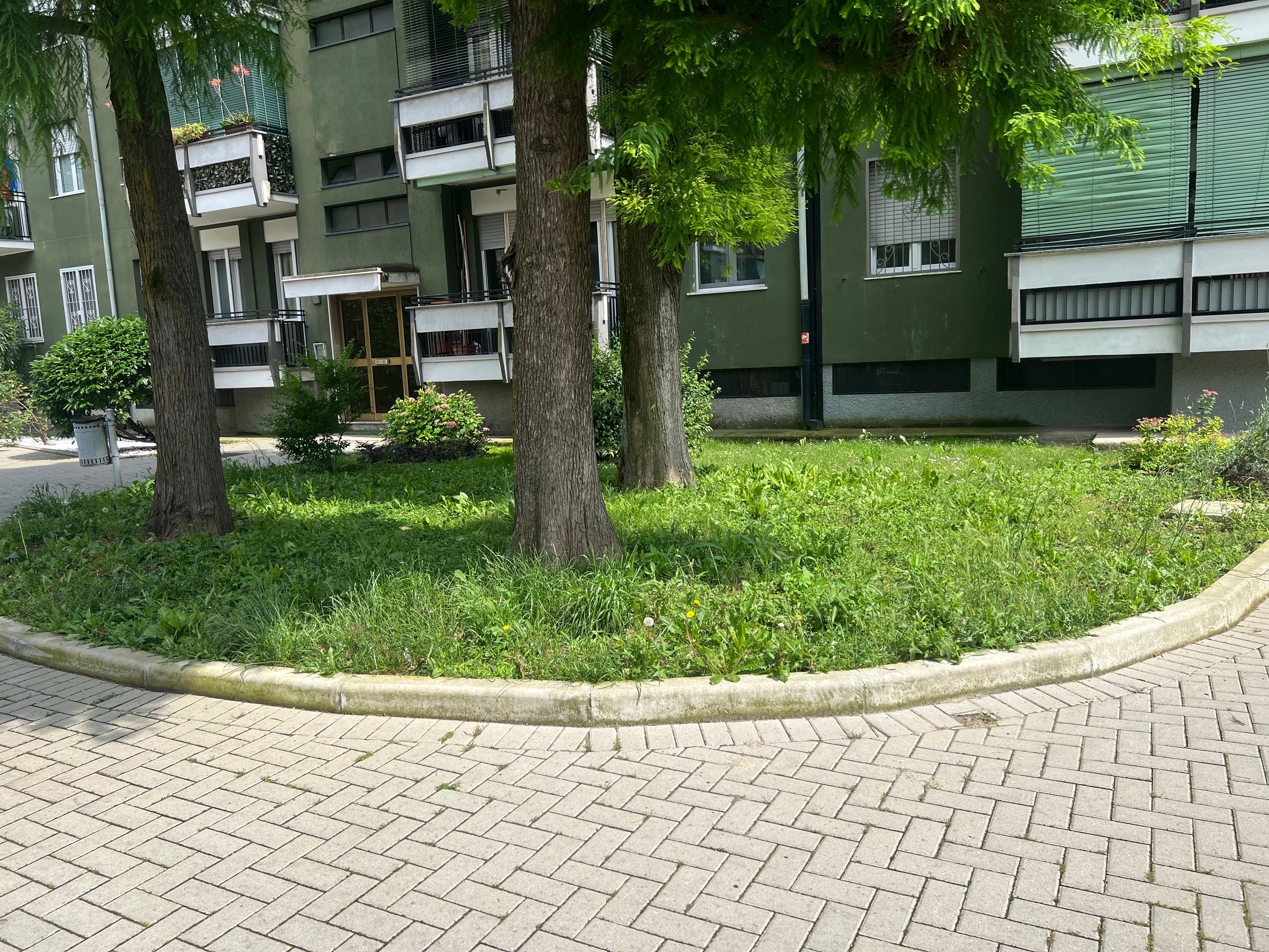 image-234