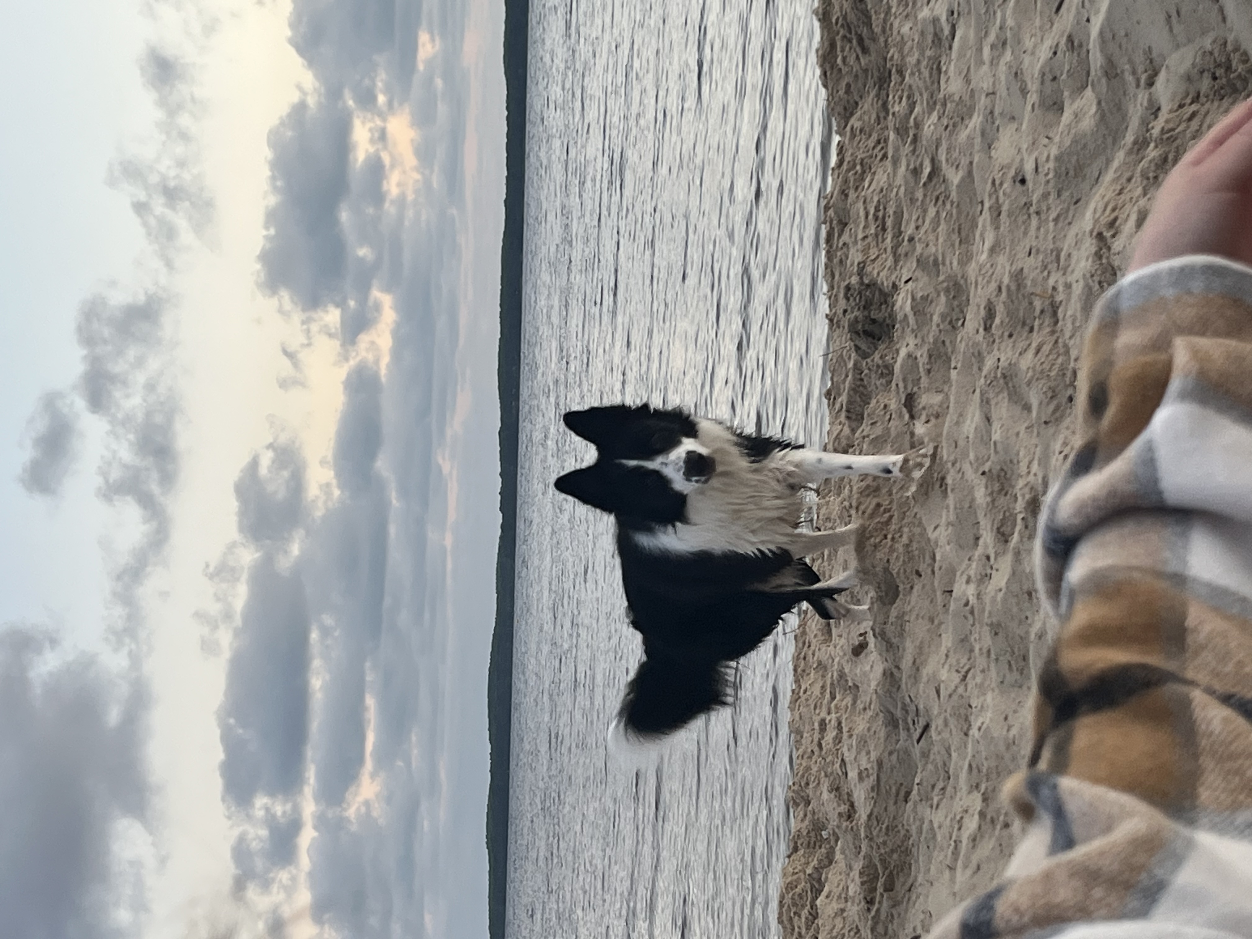 image-16