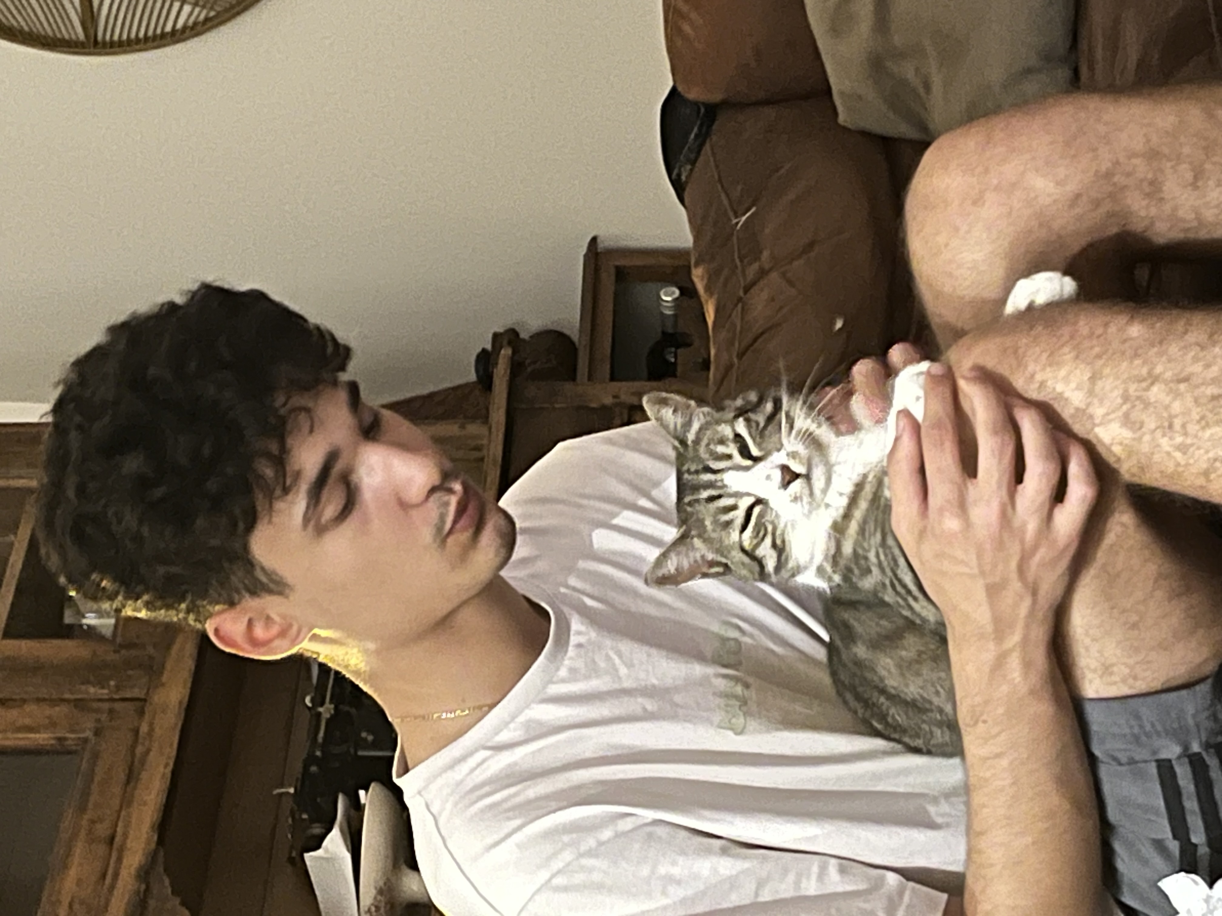 image-11