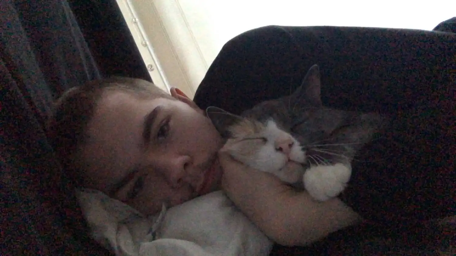 image-7