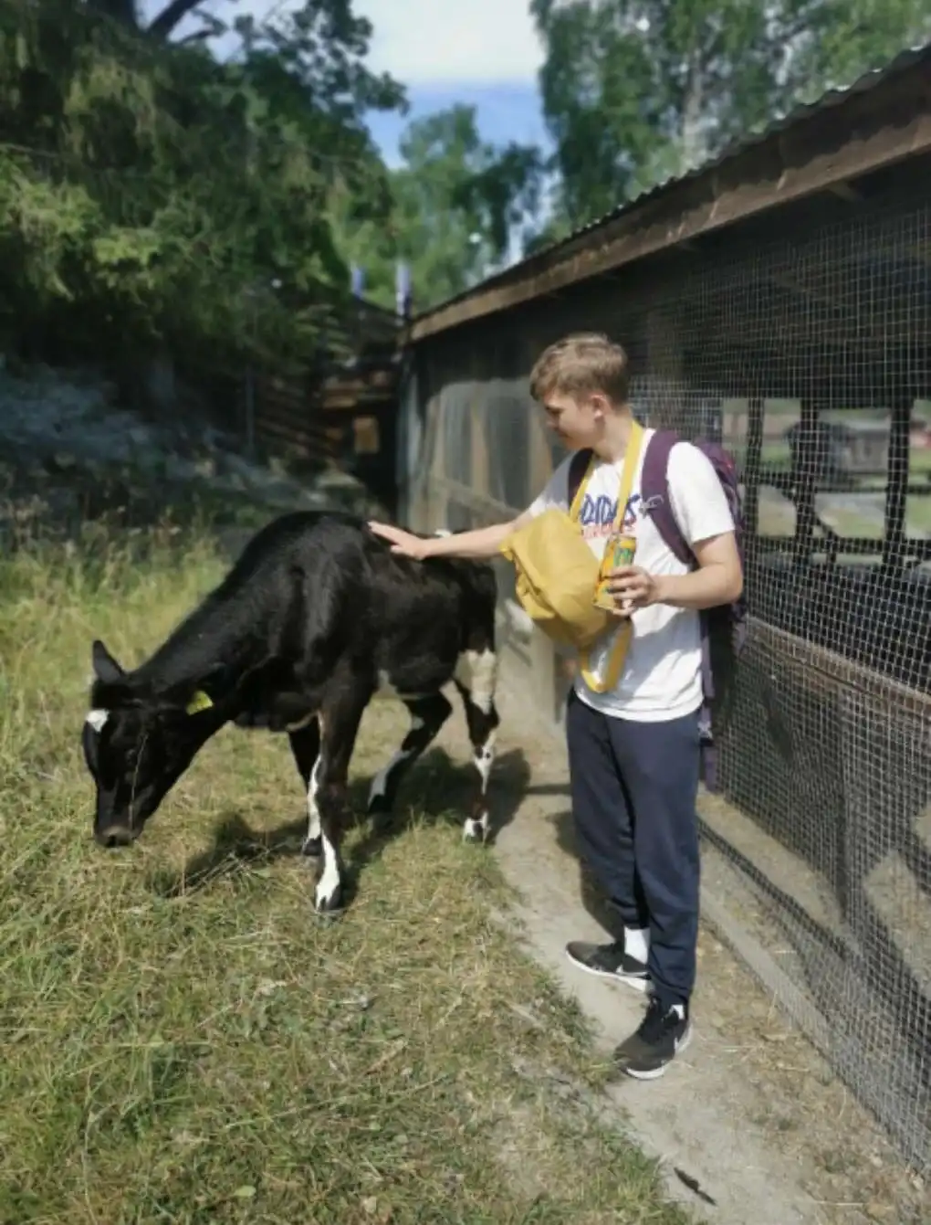 image-16