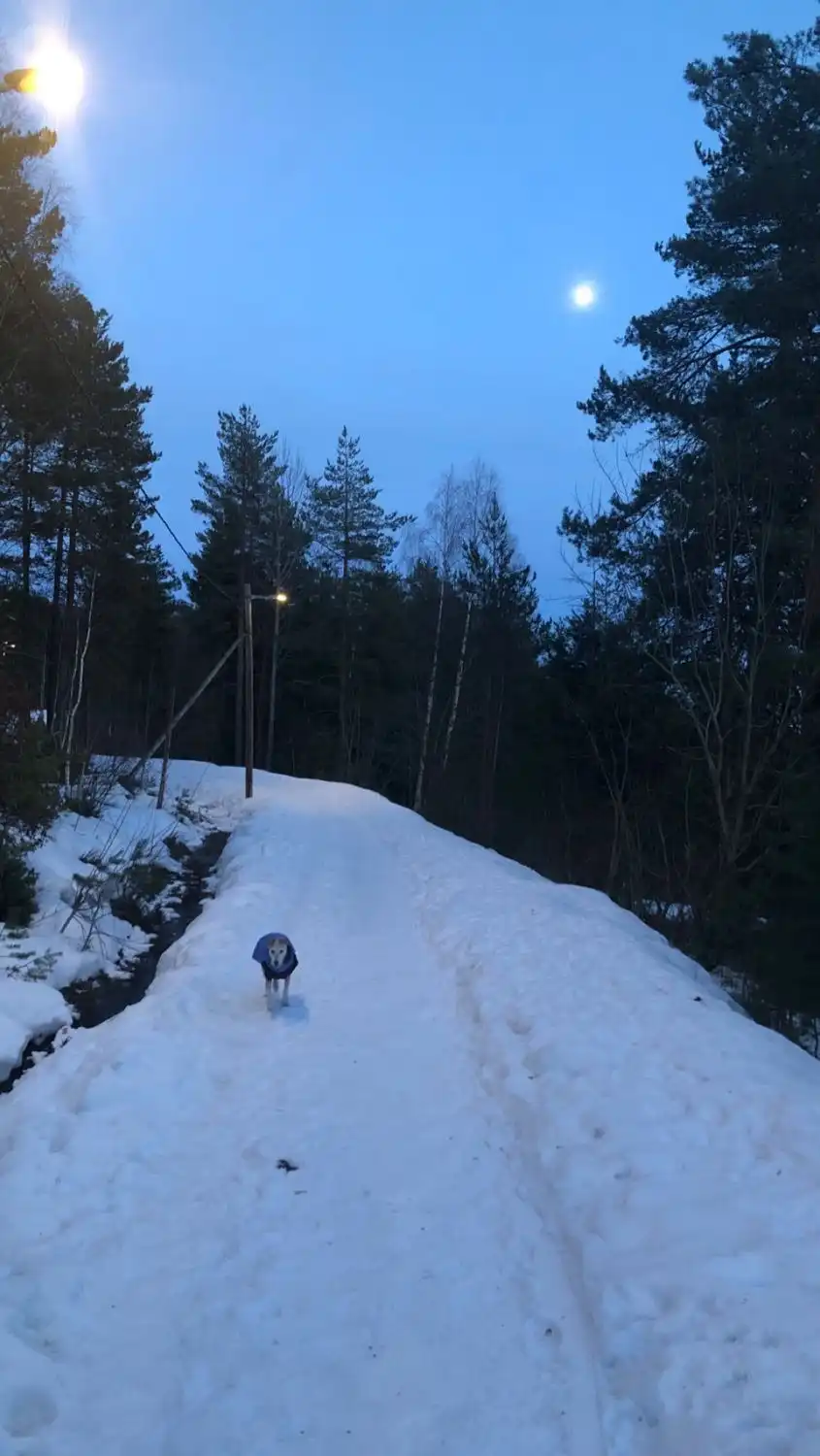image-8