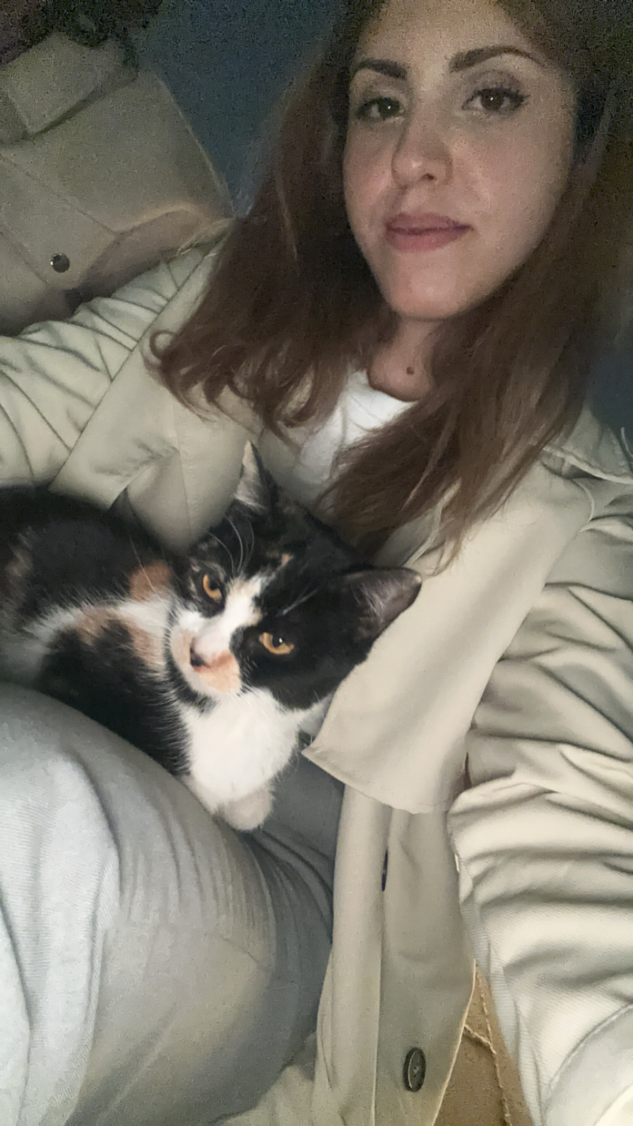 image-8