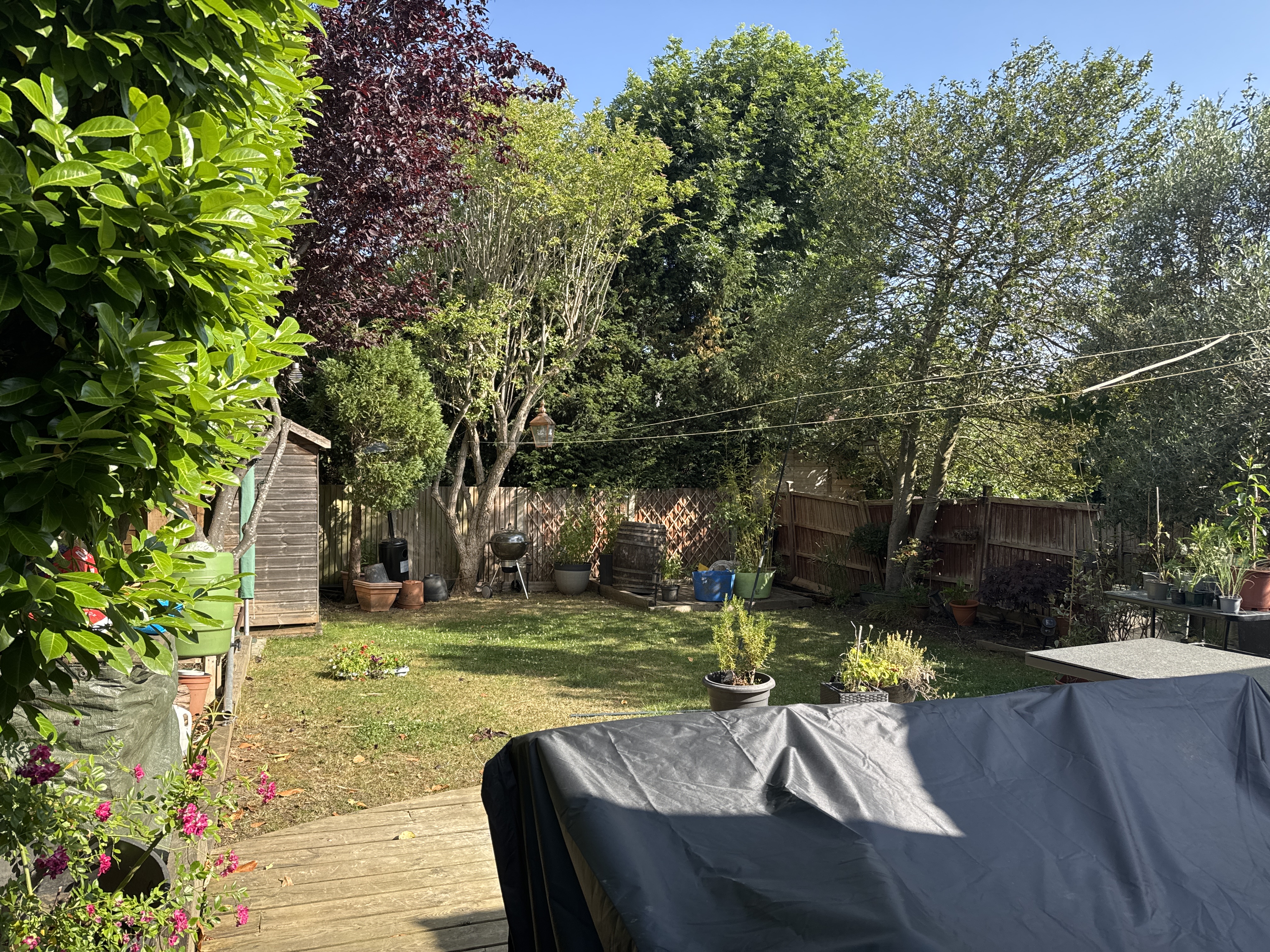 image-18