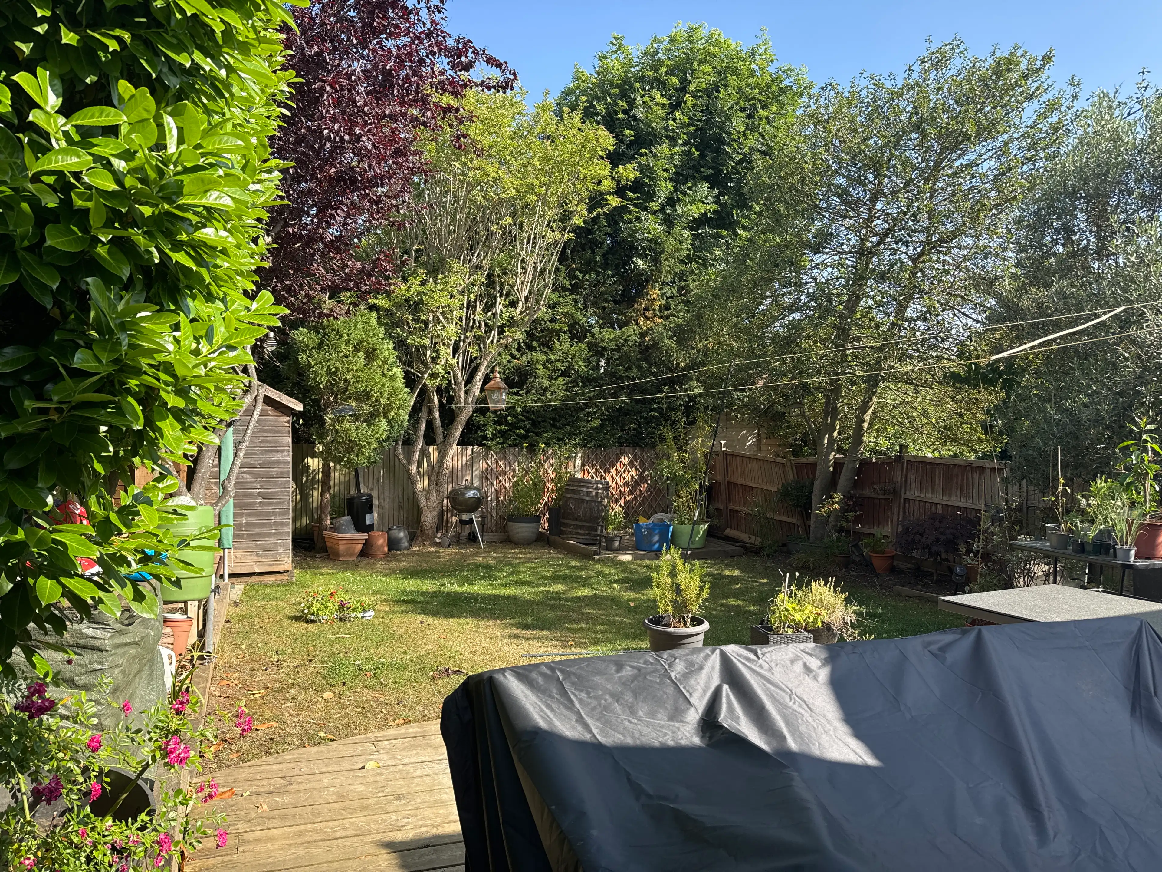image-18