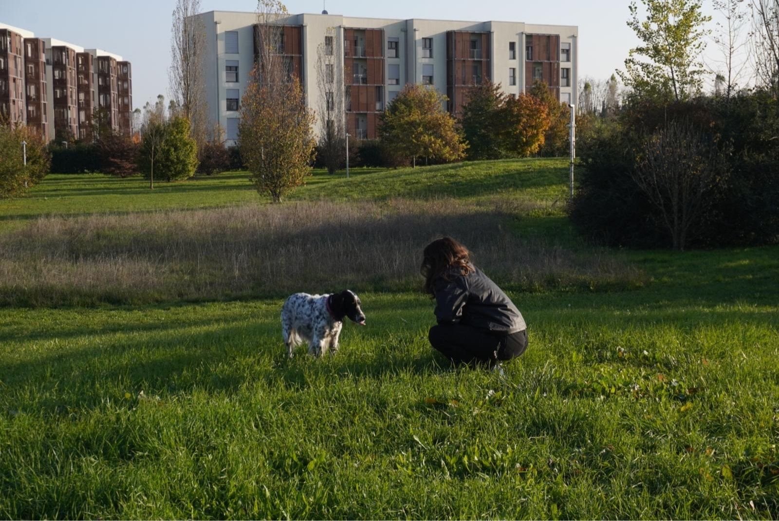 image-0