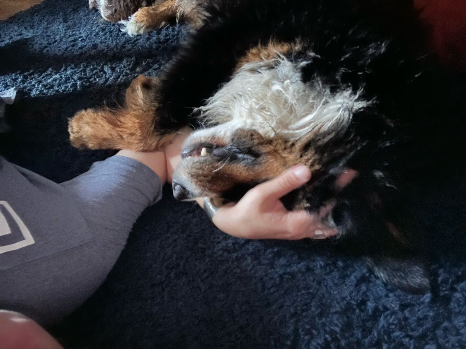 image-6