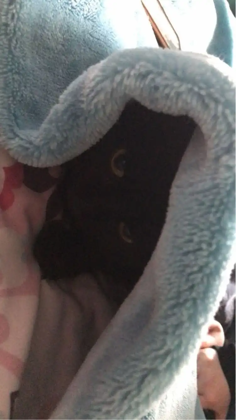 image-7