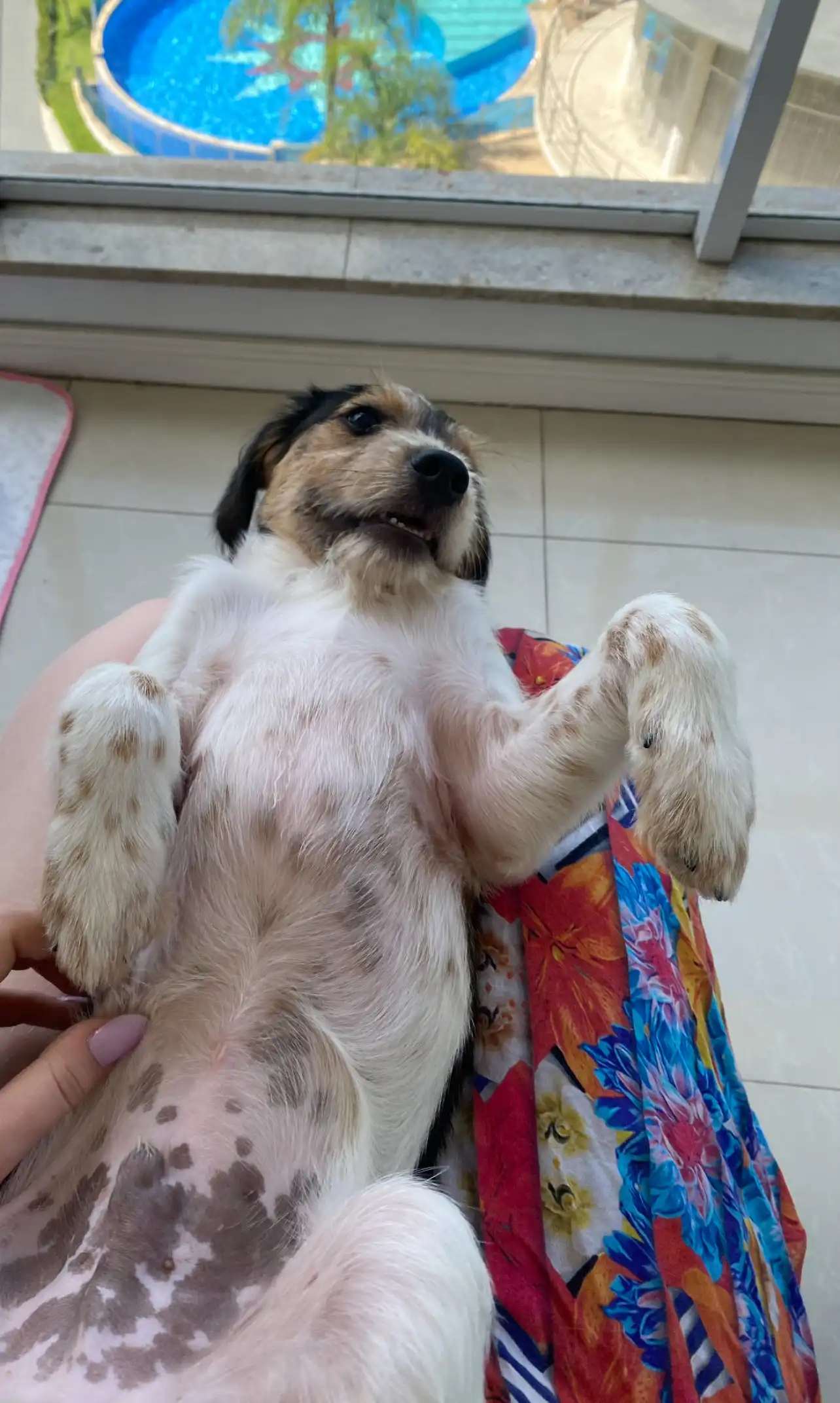 image-7