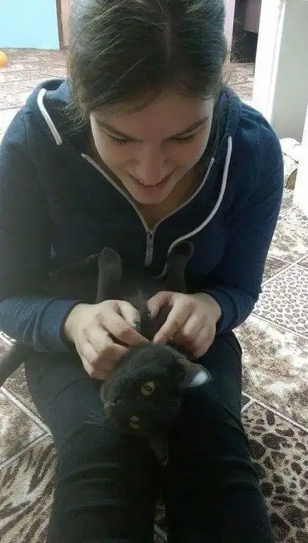 image-7
