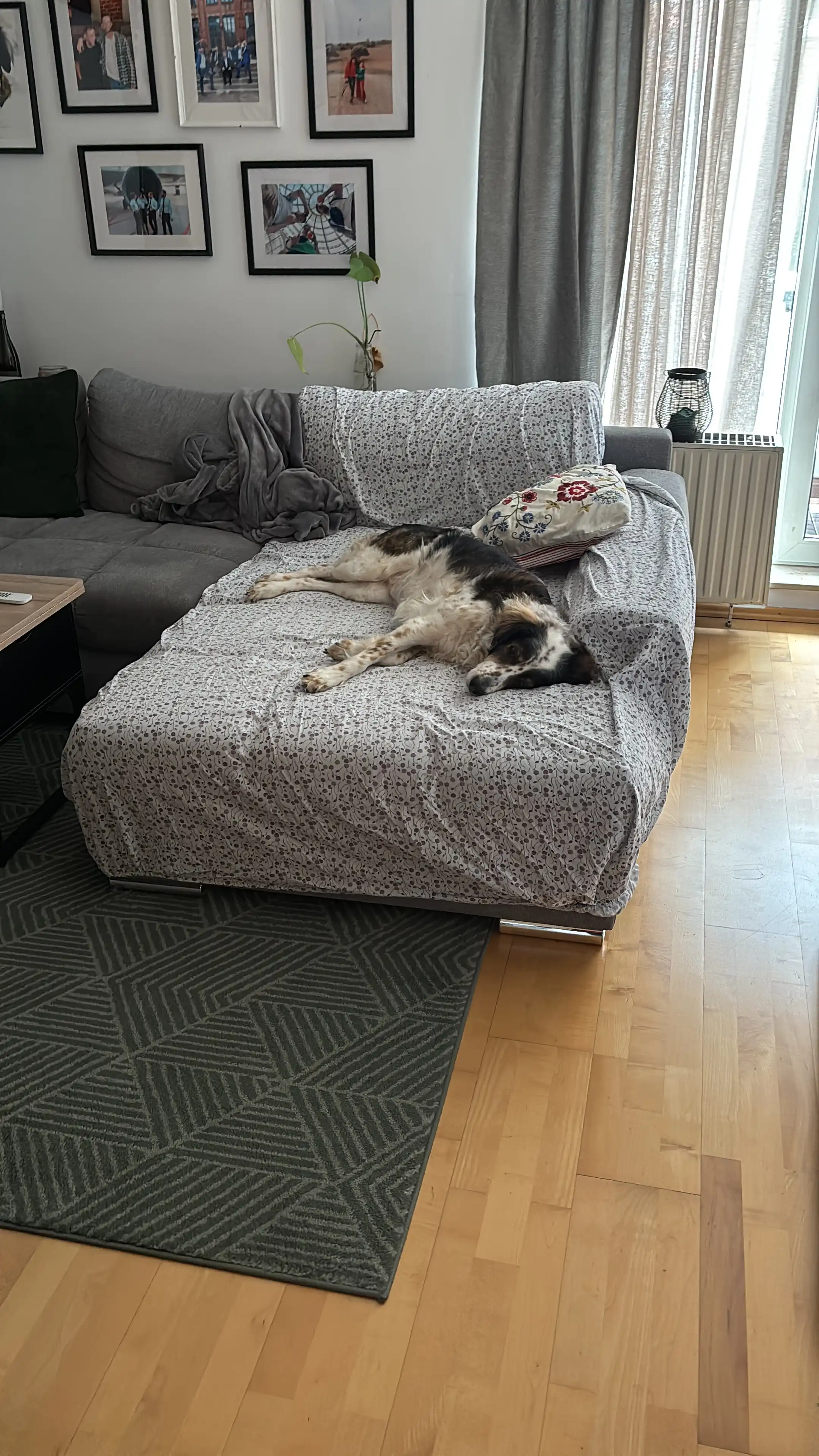 image-9
