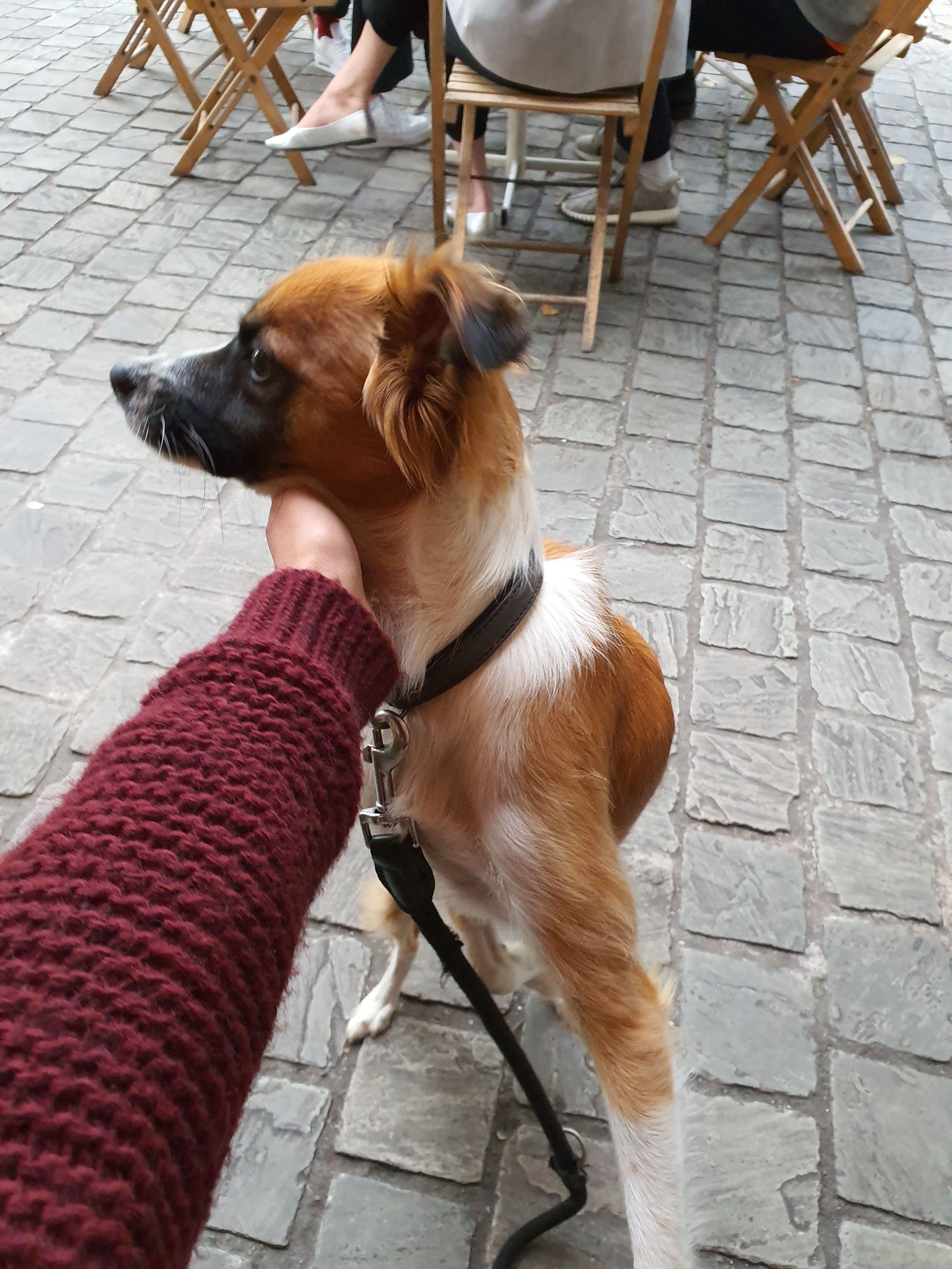 image-7