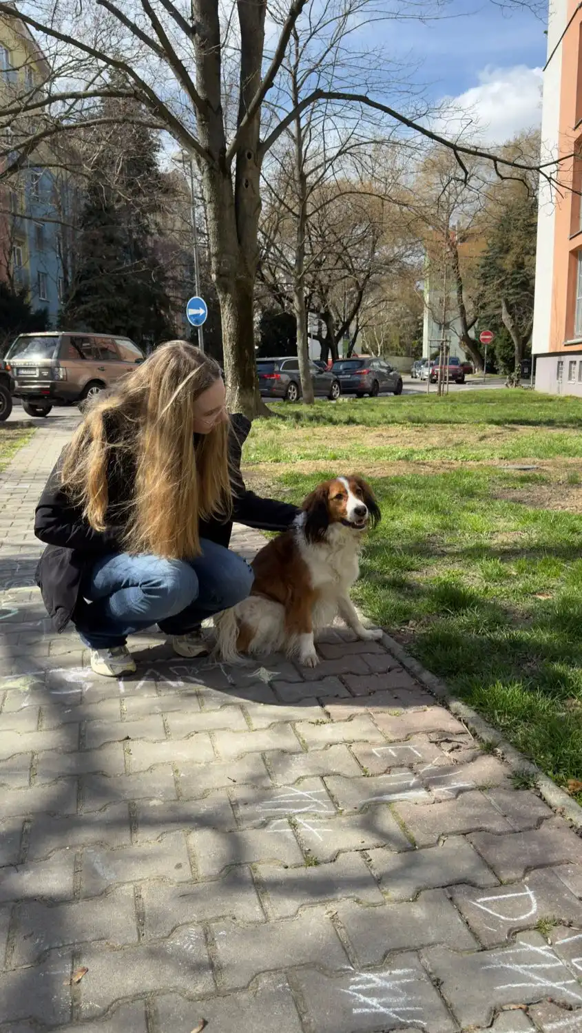 image-6