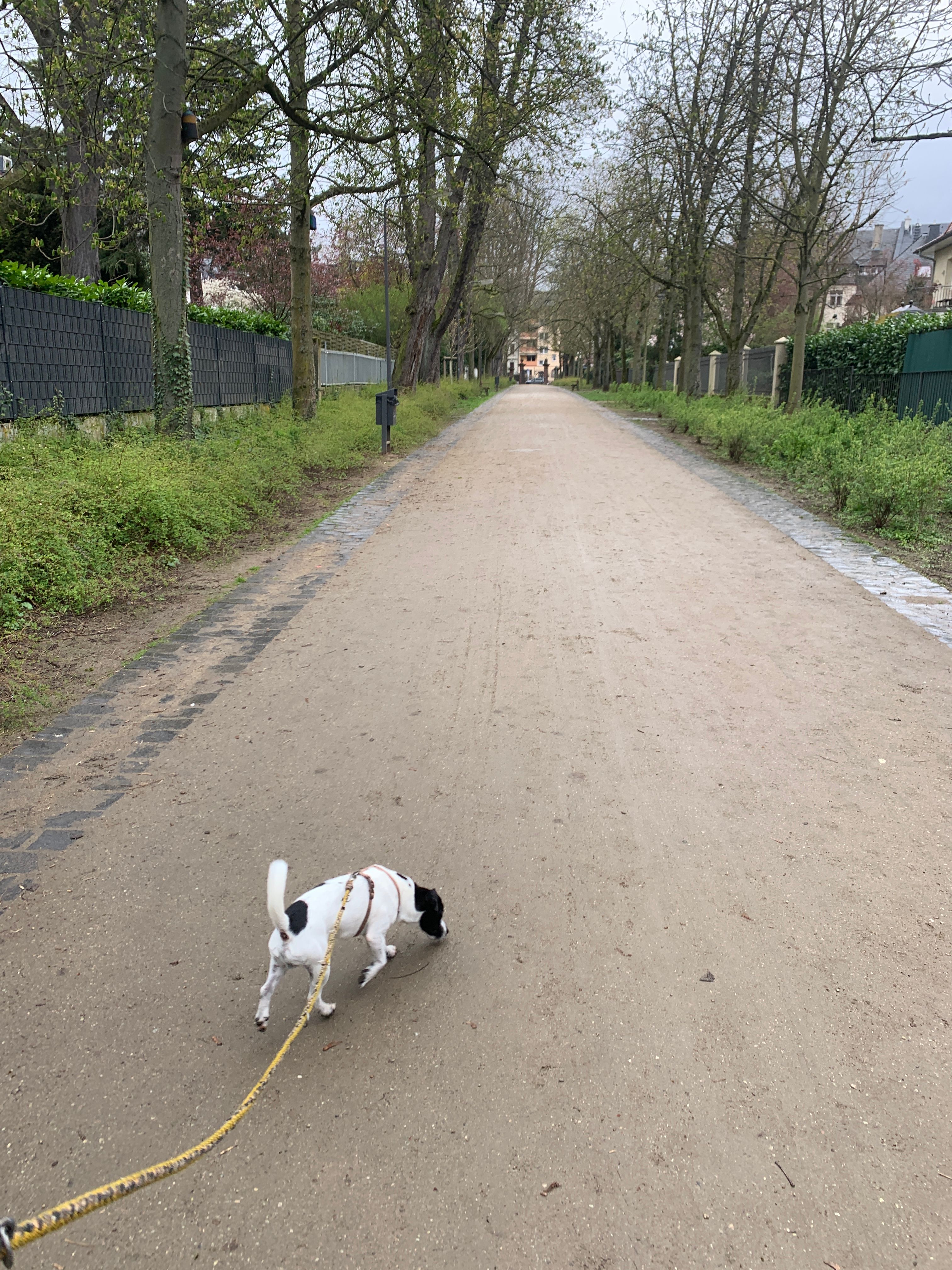 image-6