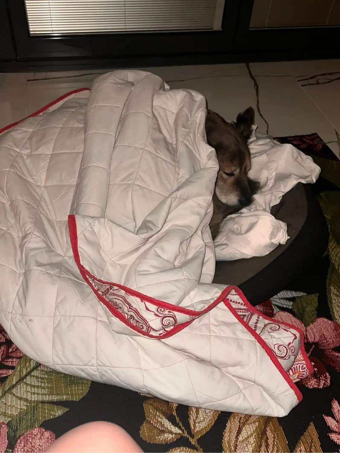 image-14