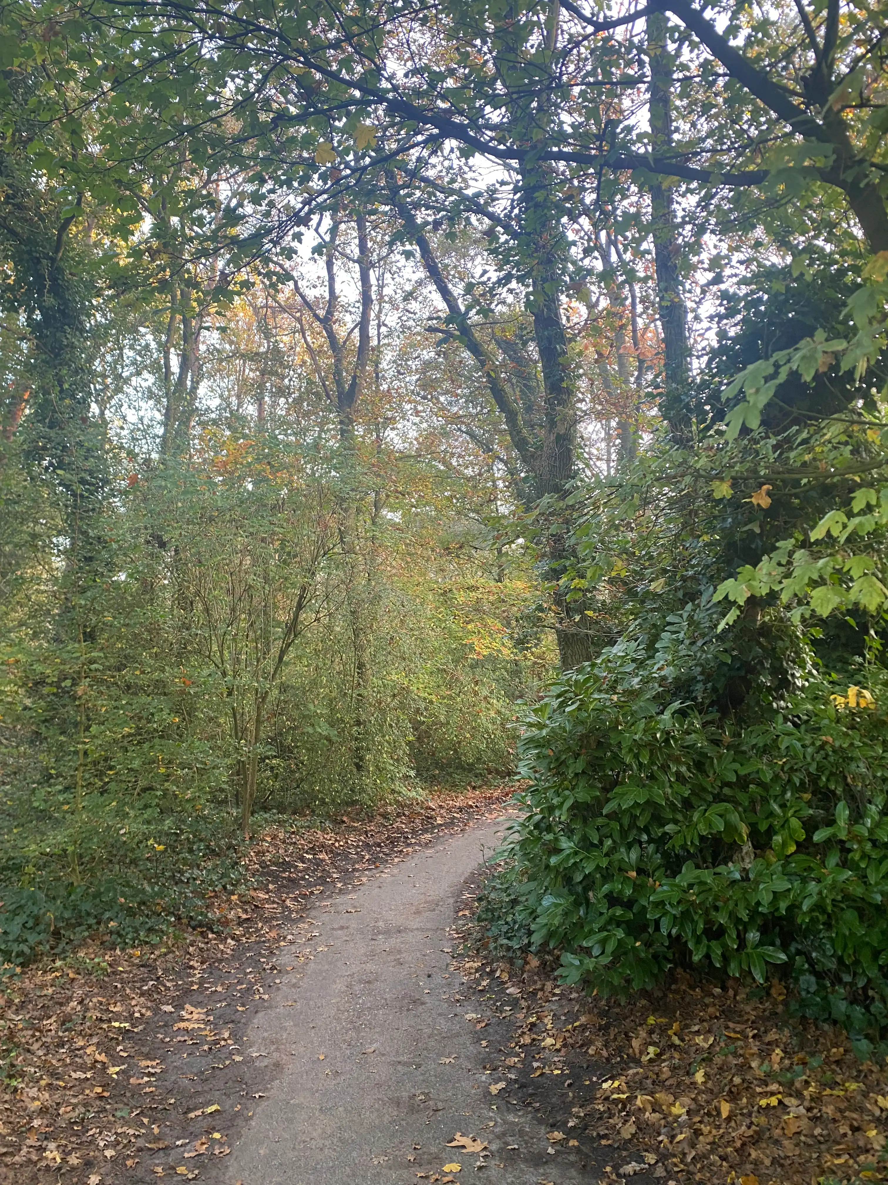 image-20