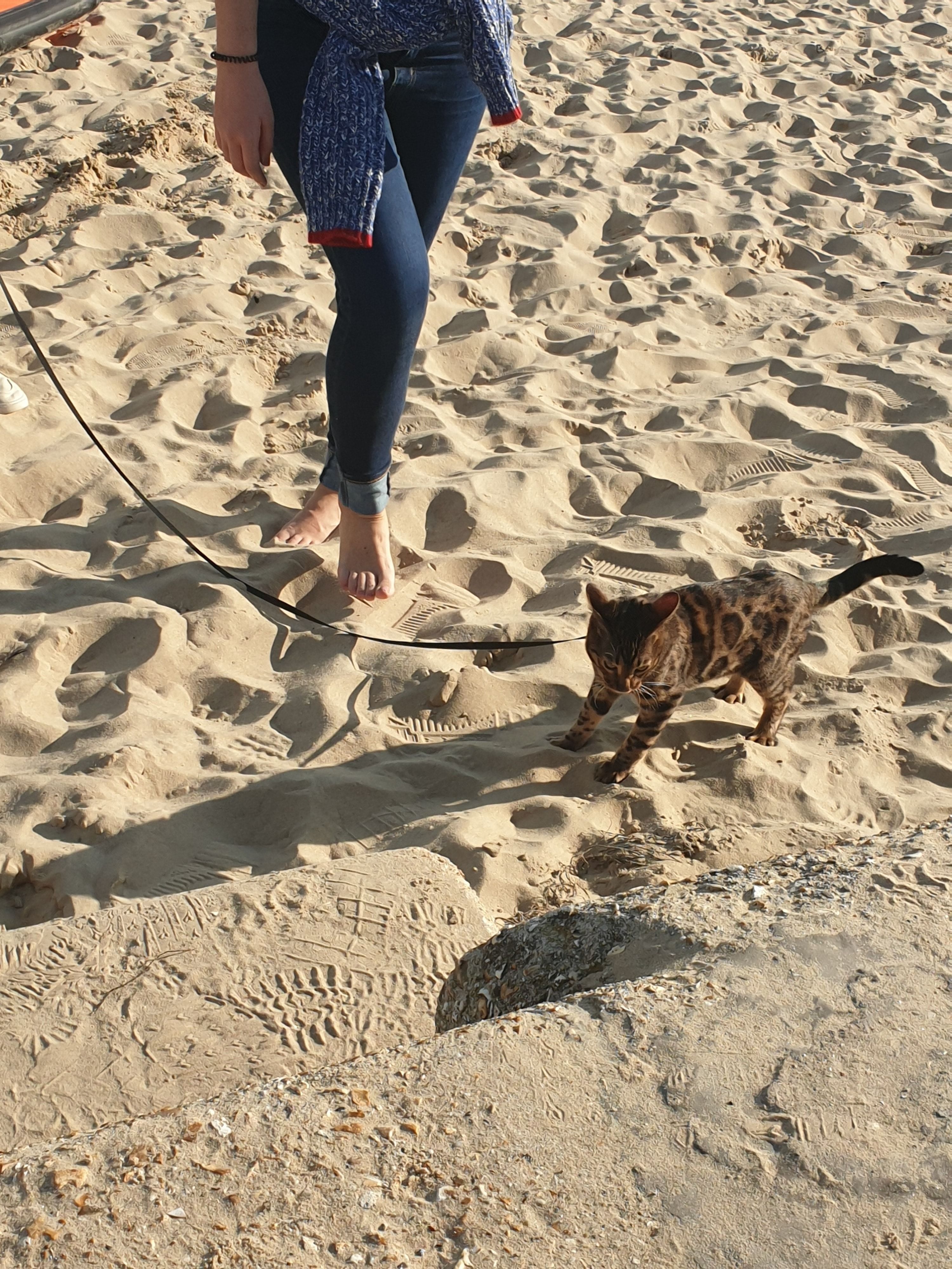 image-4