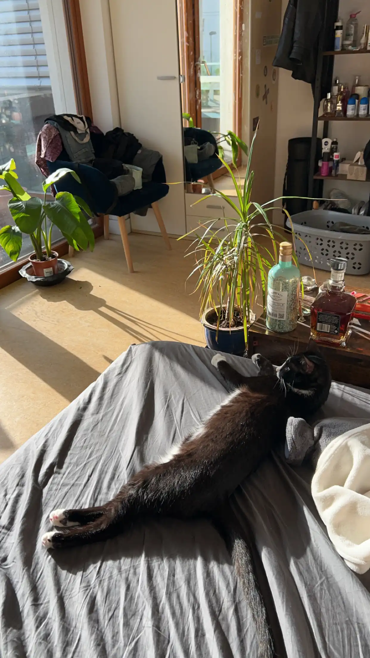 image-13