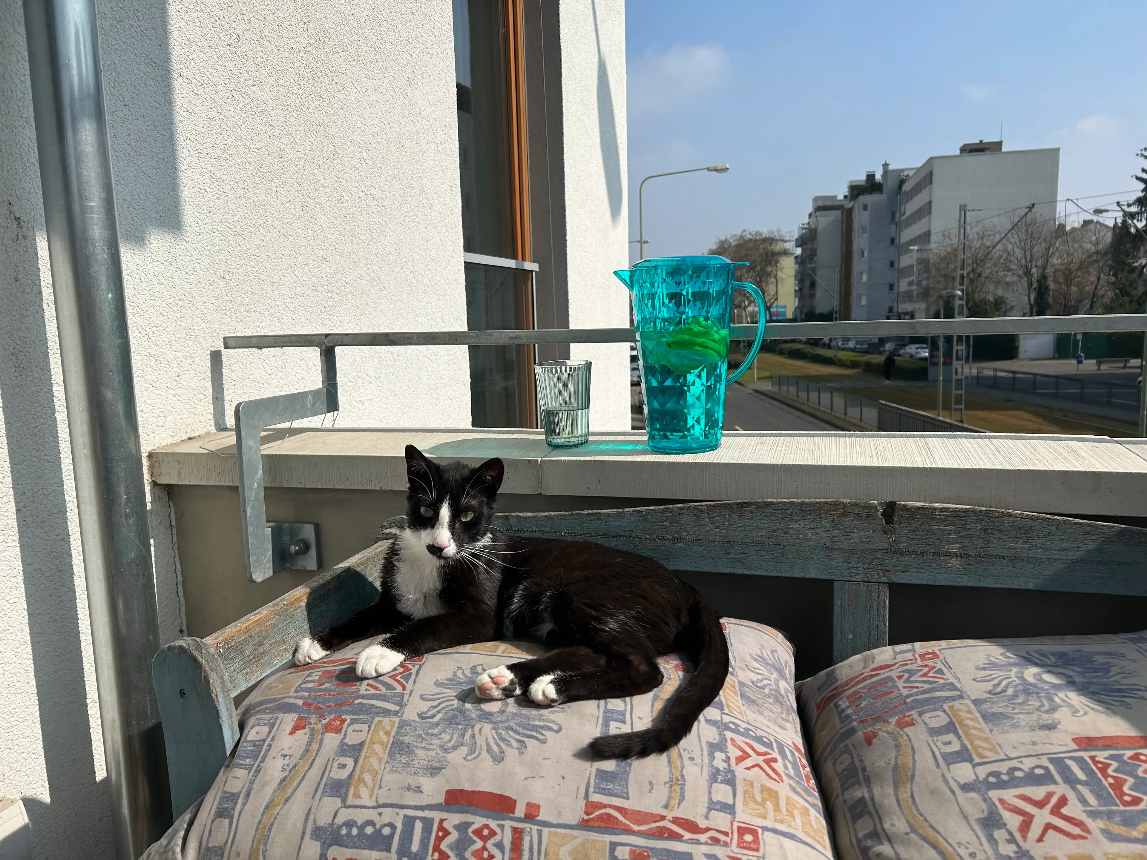 image-7