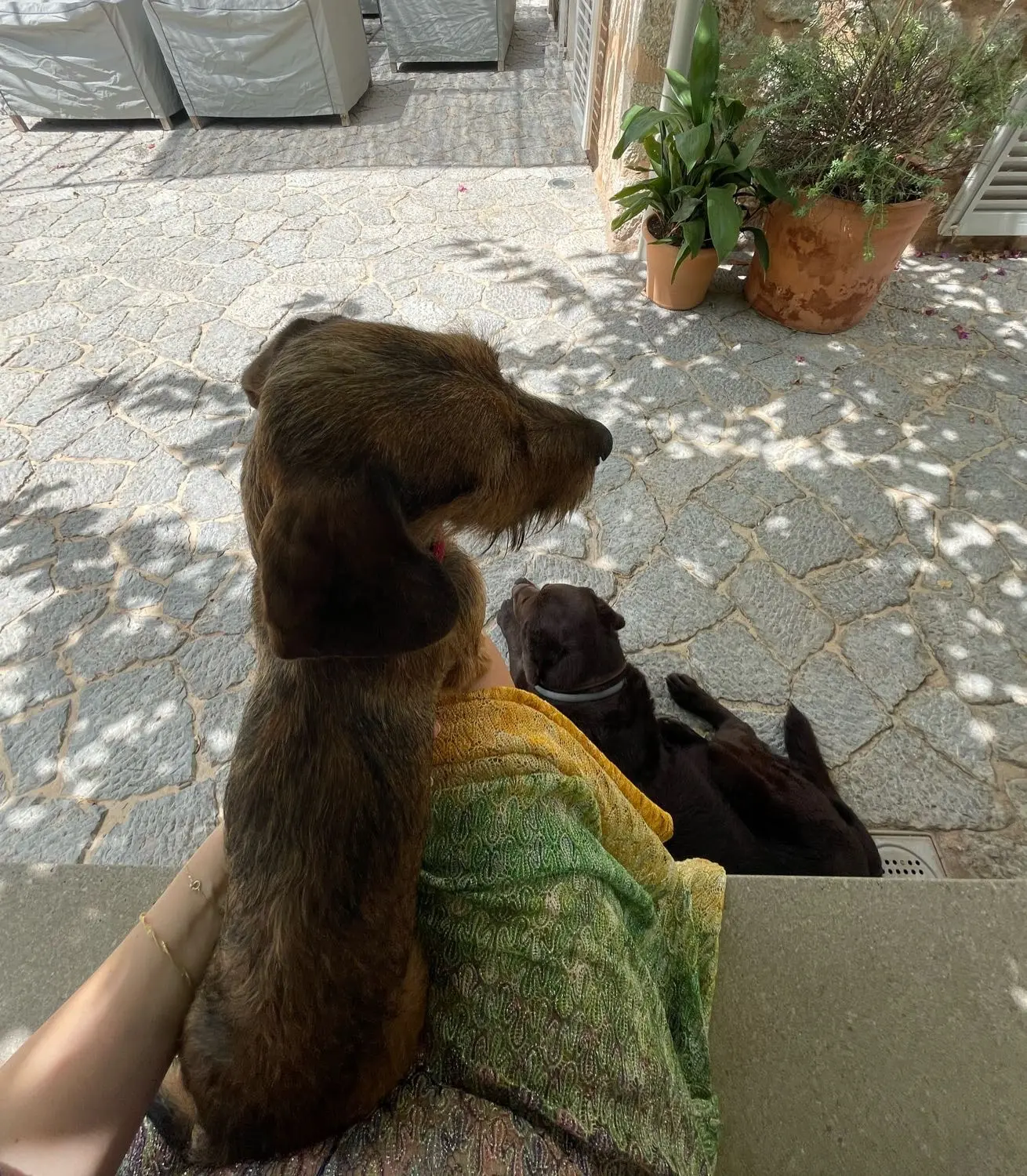 image-3