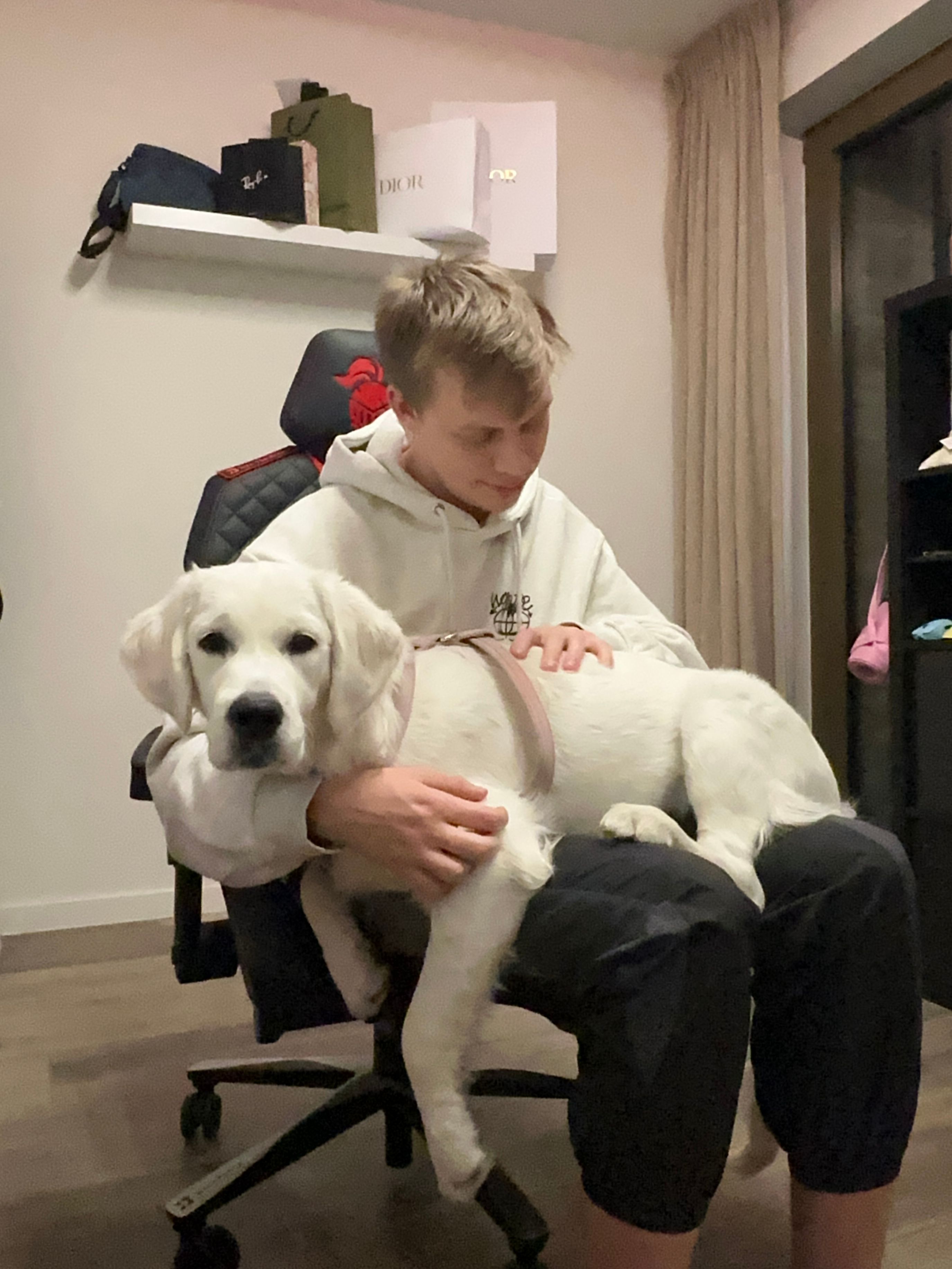 image-7