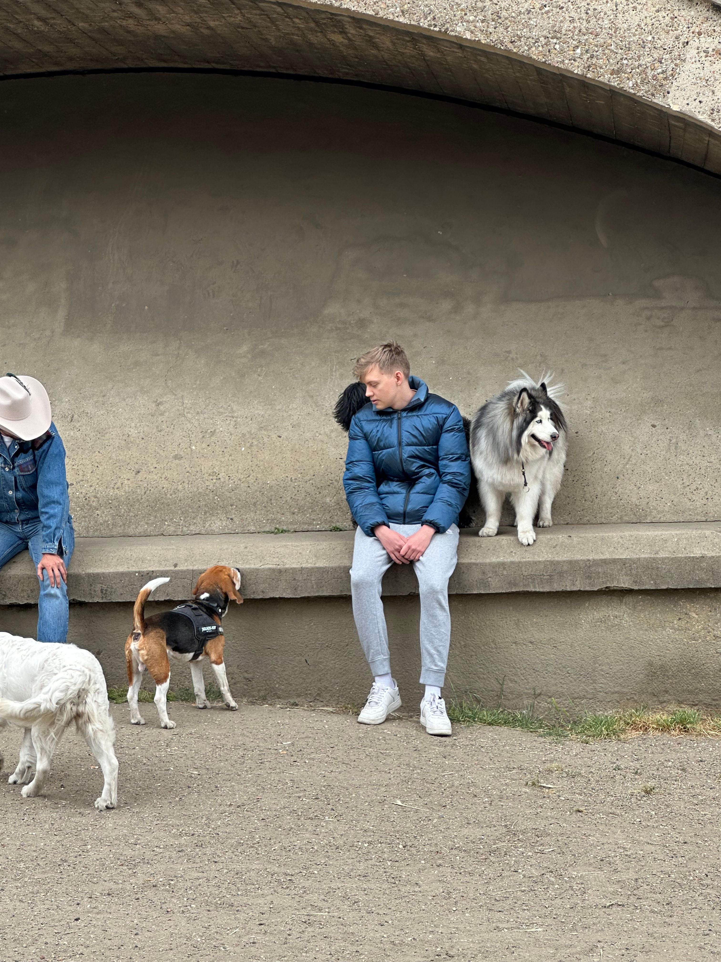 image-9