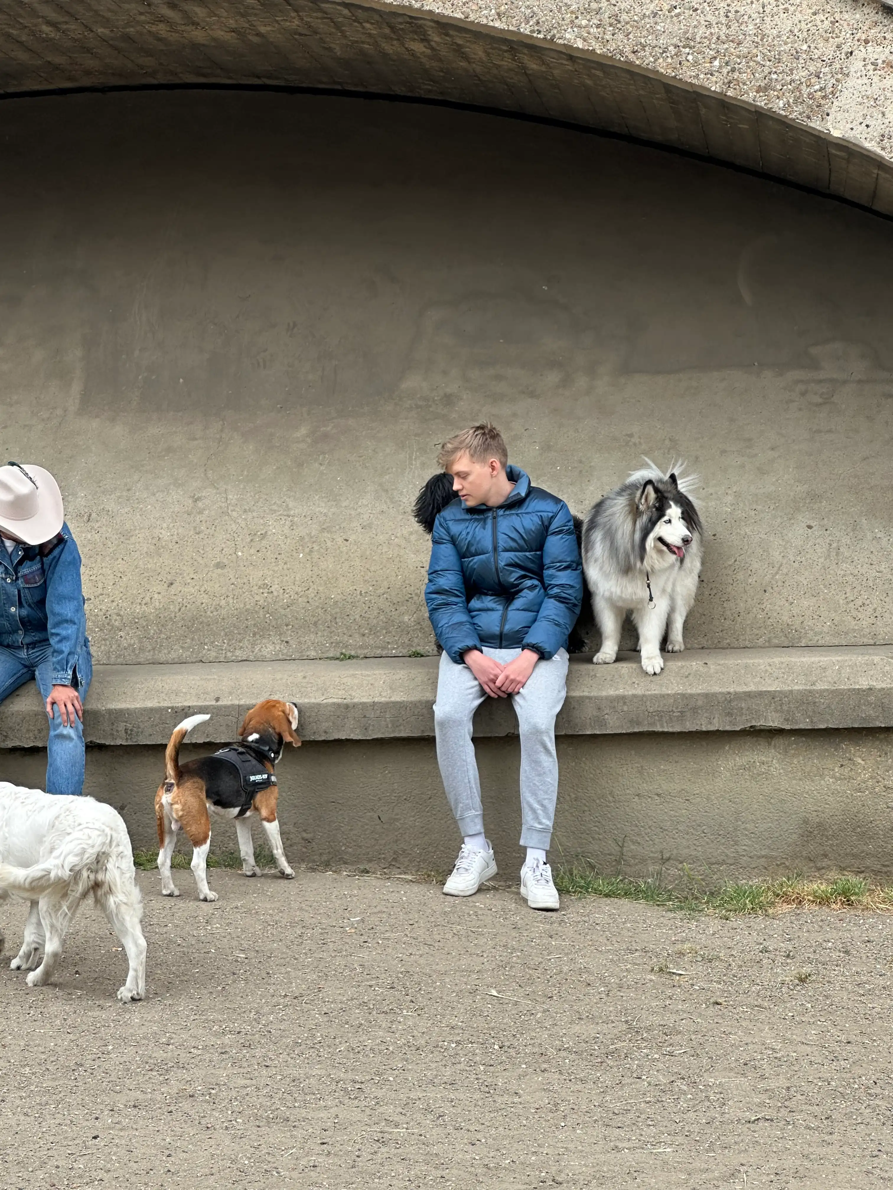 image-9
