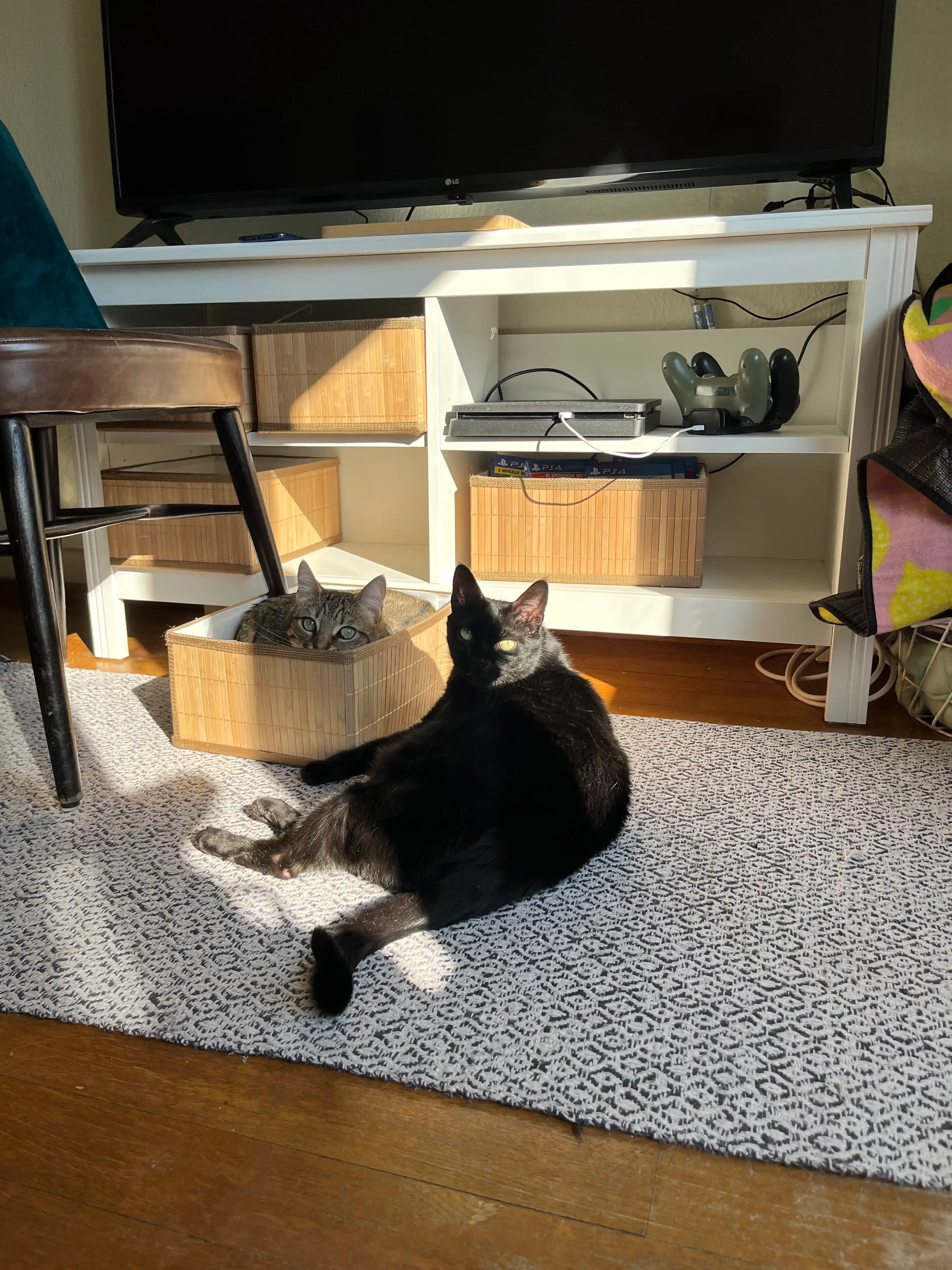 image-16