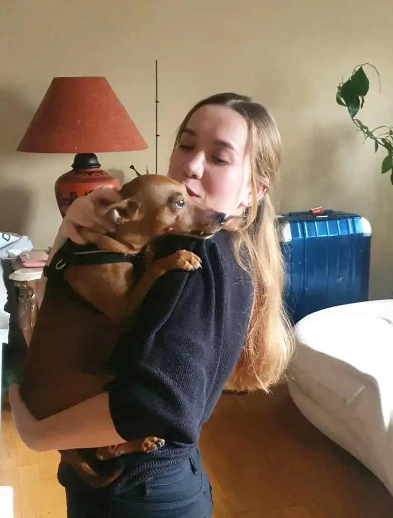 image-6