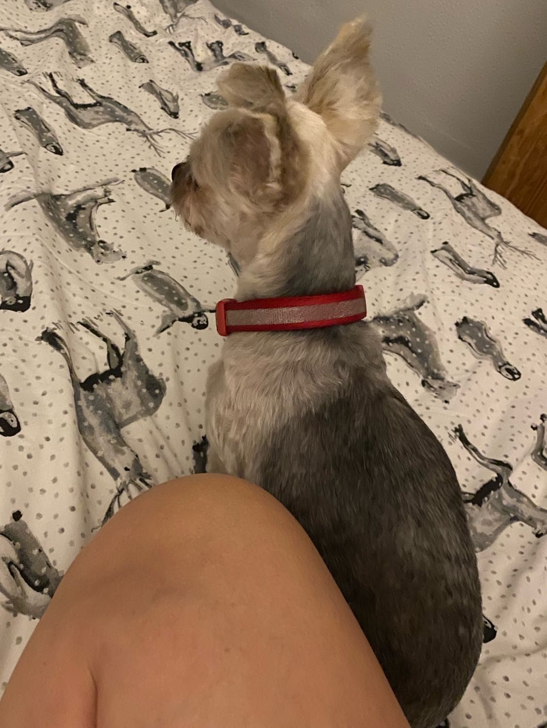 image-9